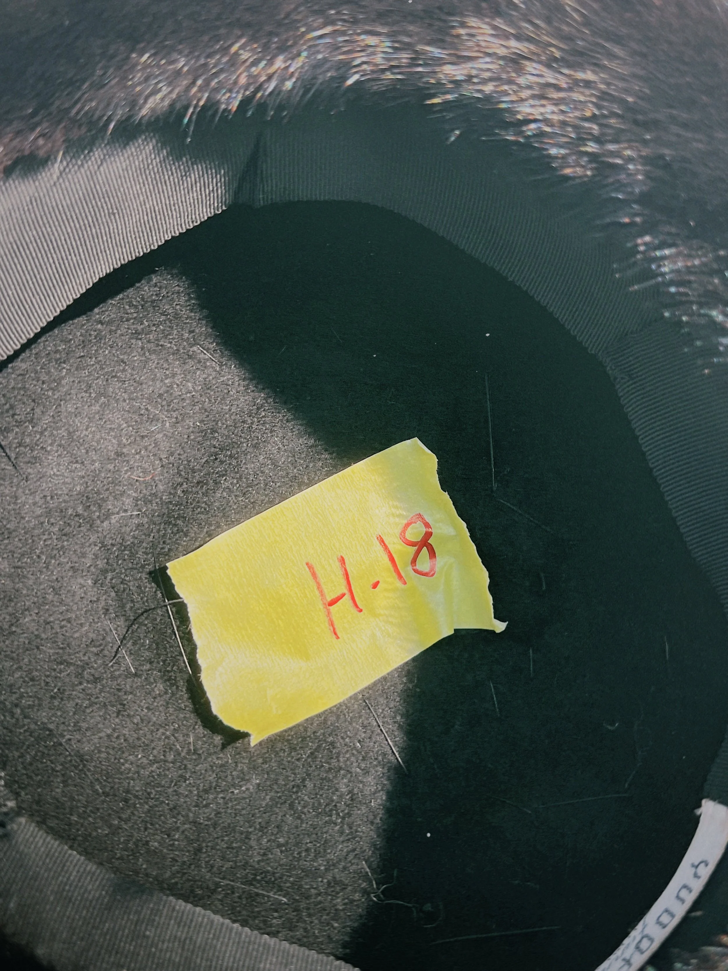 s67 2024-06-19 152418.261.JPG