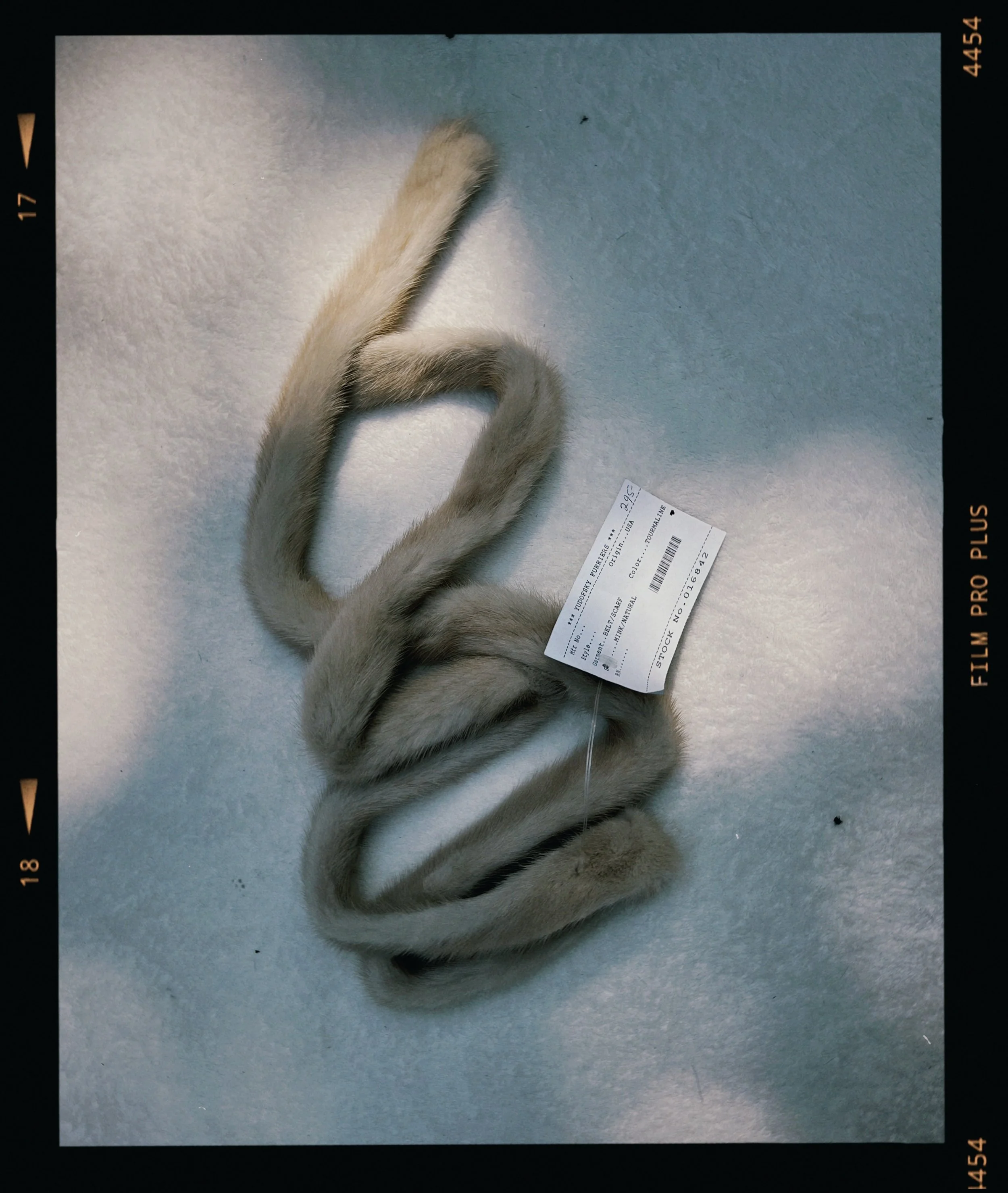 s67 2024-06-17 154754.959.JPG