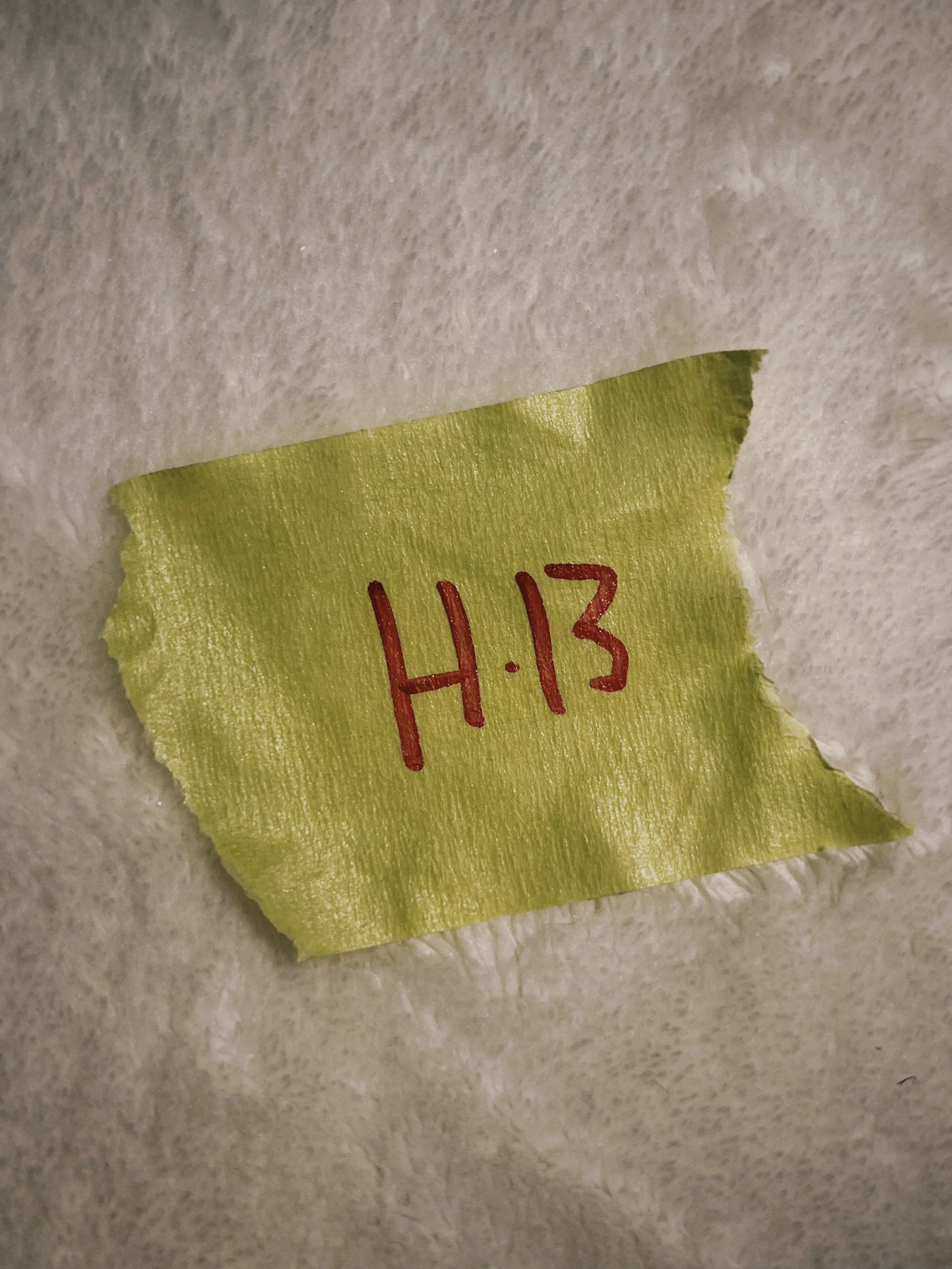 s67 2024-06-19 150158.312.JPG