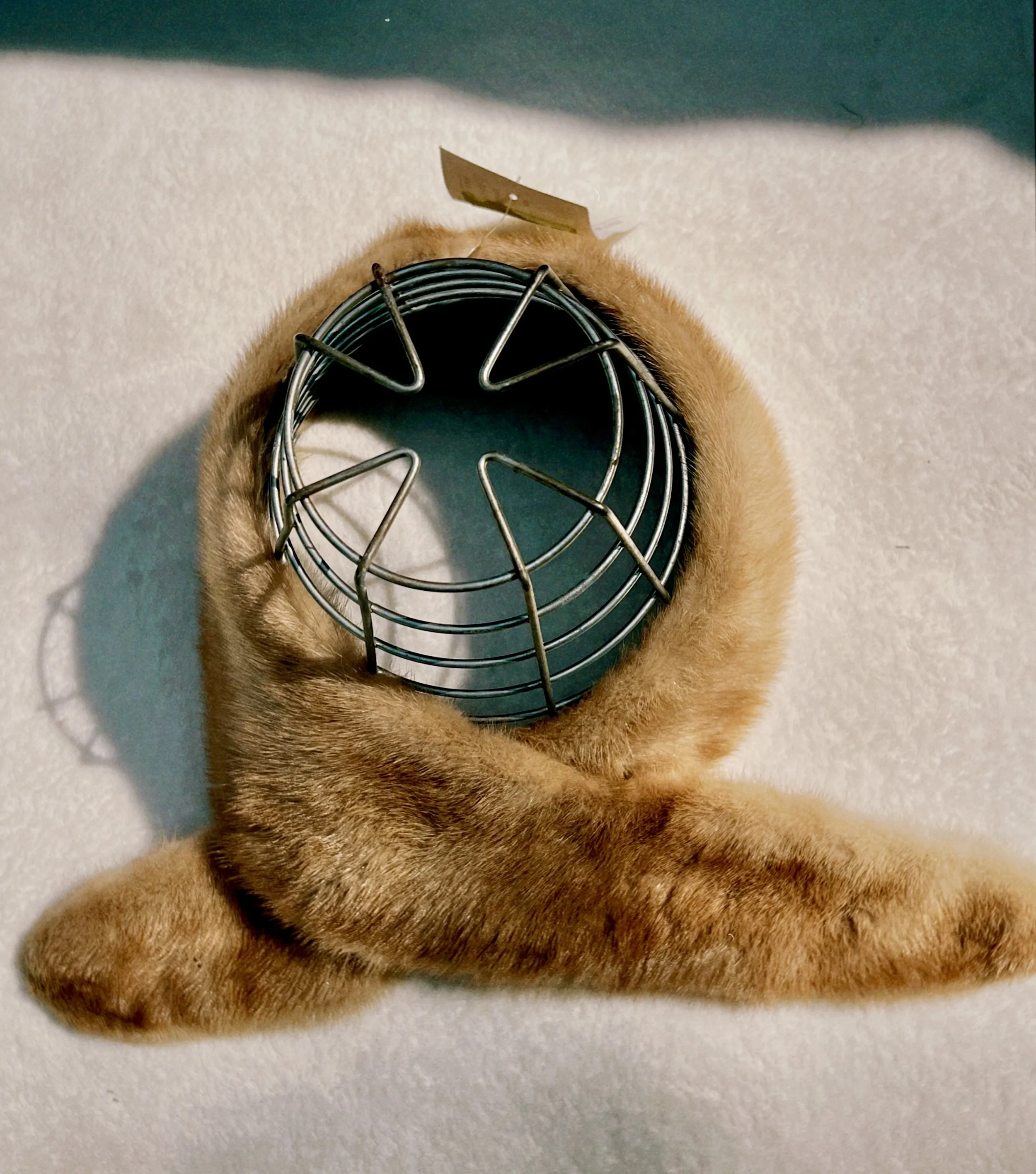 s67 2024-06-17 151834.087.jpg