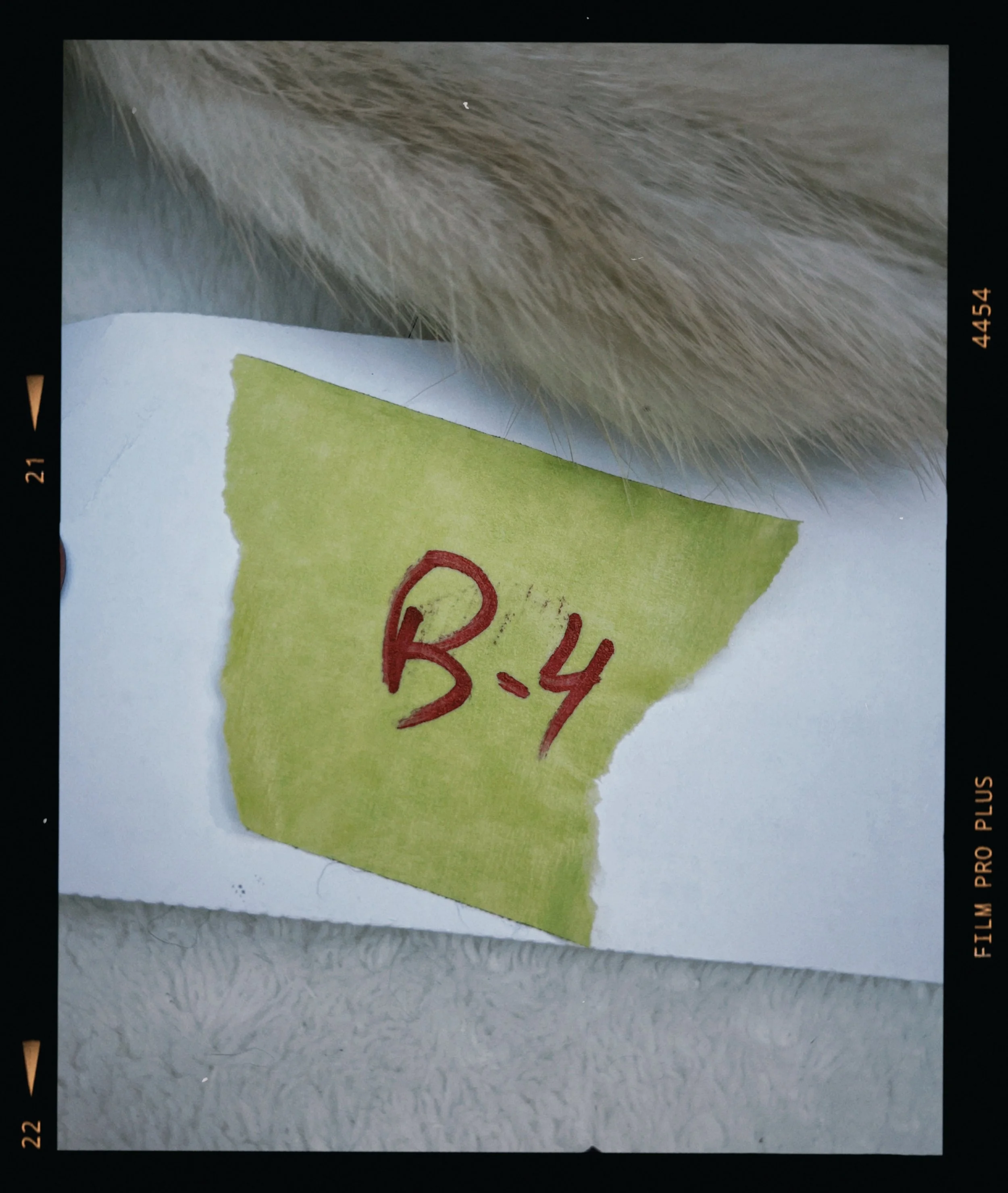 s67 2024-06-17 154738.231.JPG