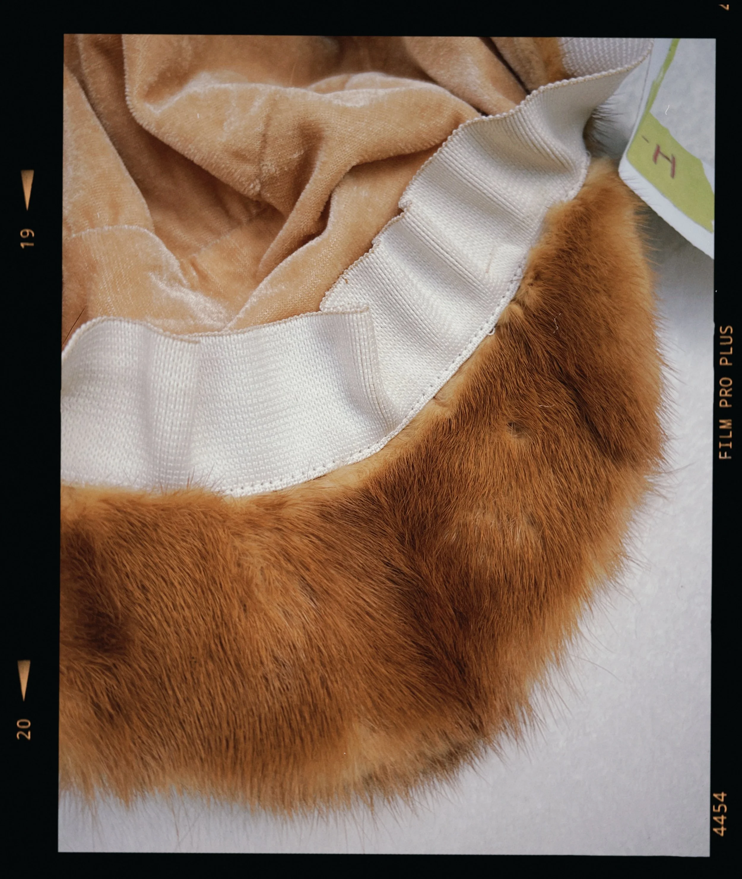 s67 2024-06-17 155523.279.JPG