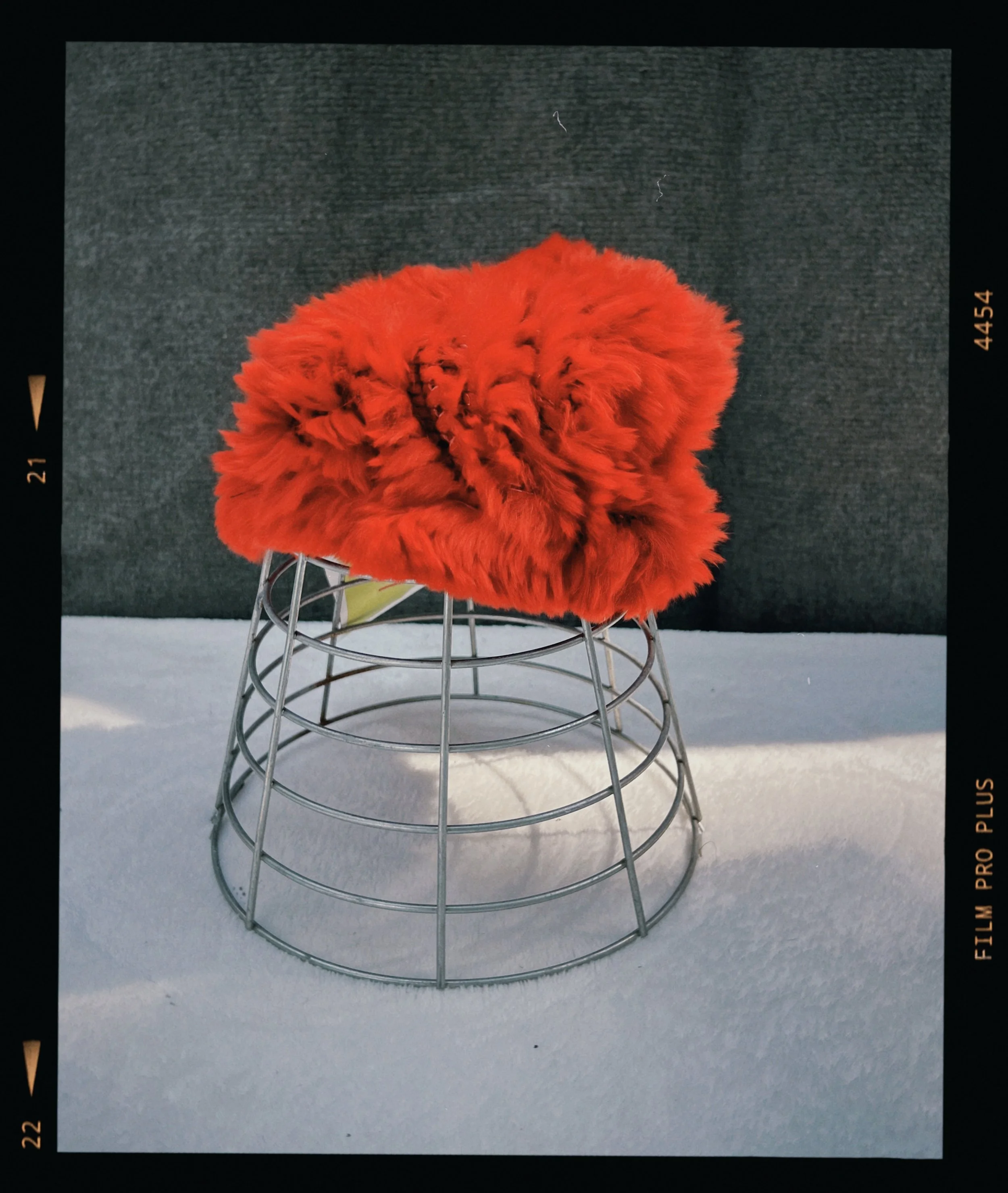 s67 2024-06-17 155323.236.JPG