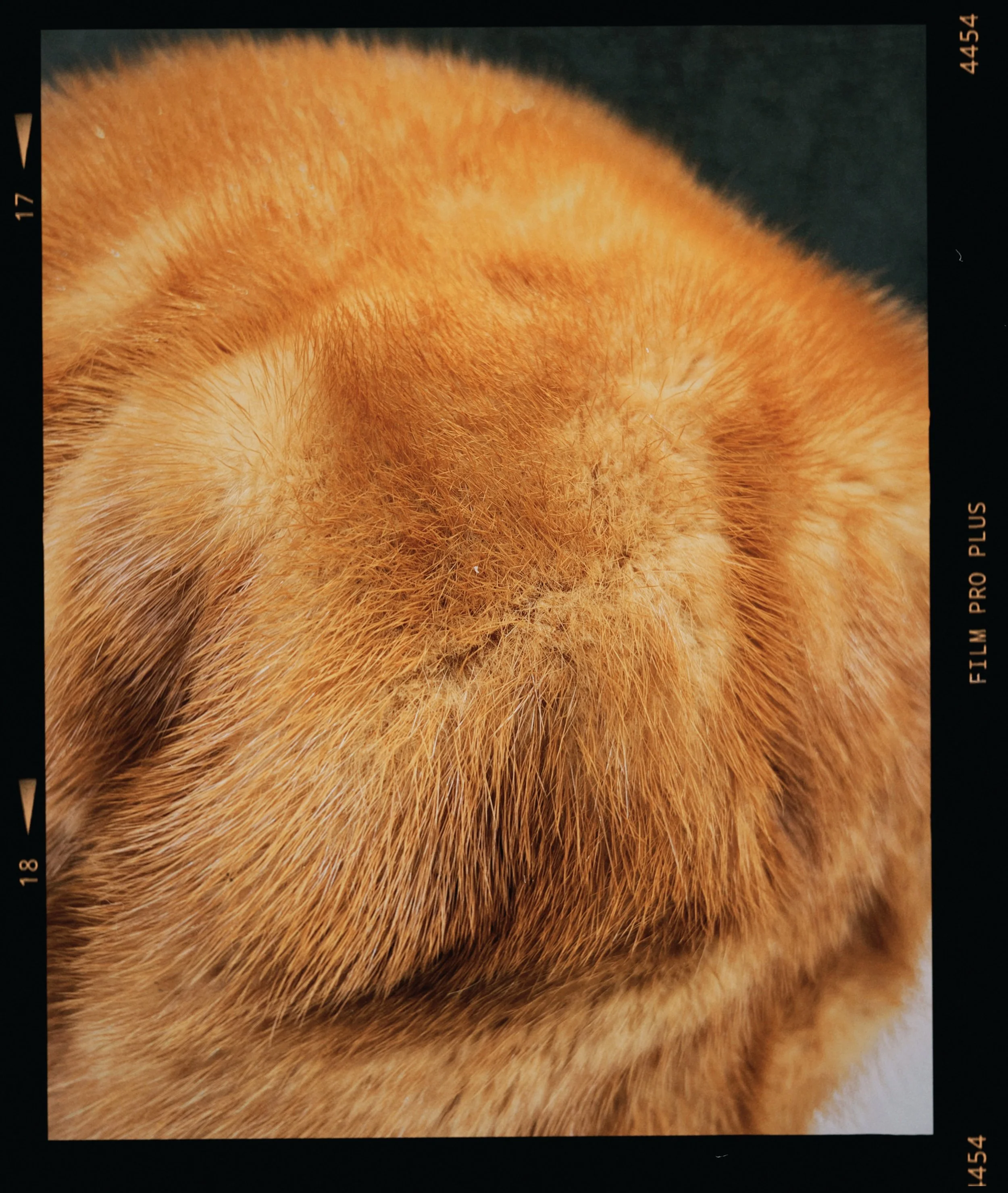 s67 2024-06-17 155445.558.JPG