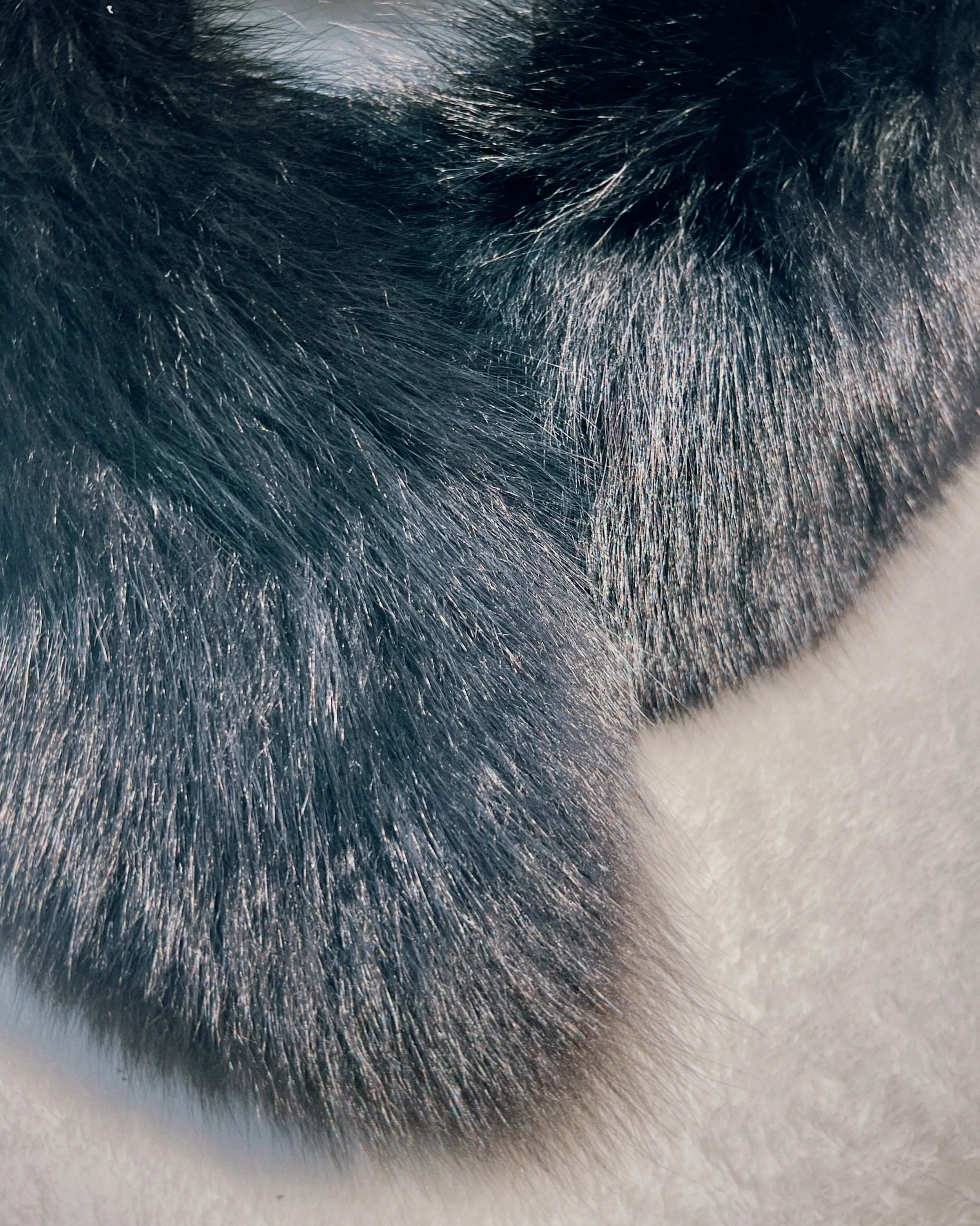 s67 2024-06-17 150738.155.jpg