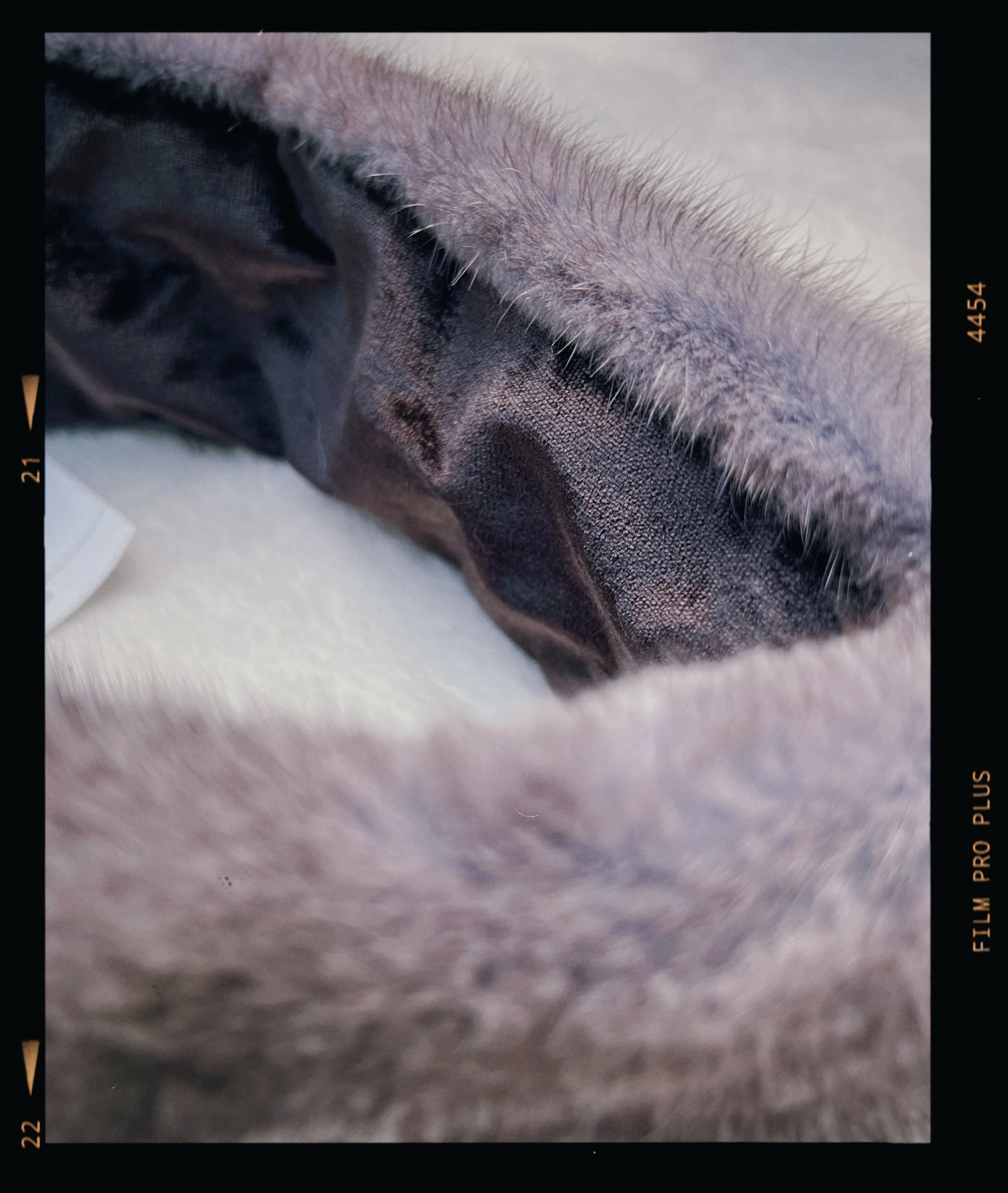 s67 2024-06-17 155657.154.JPG