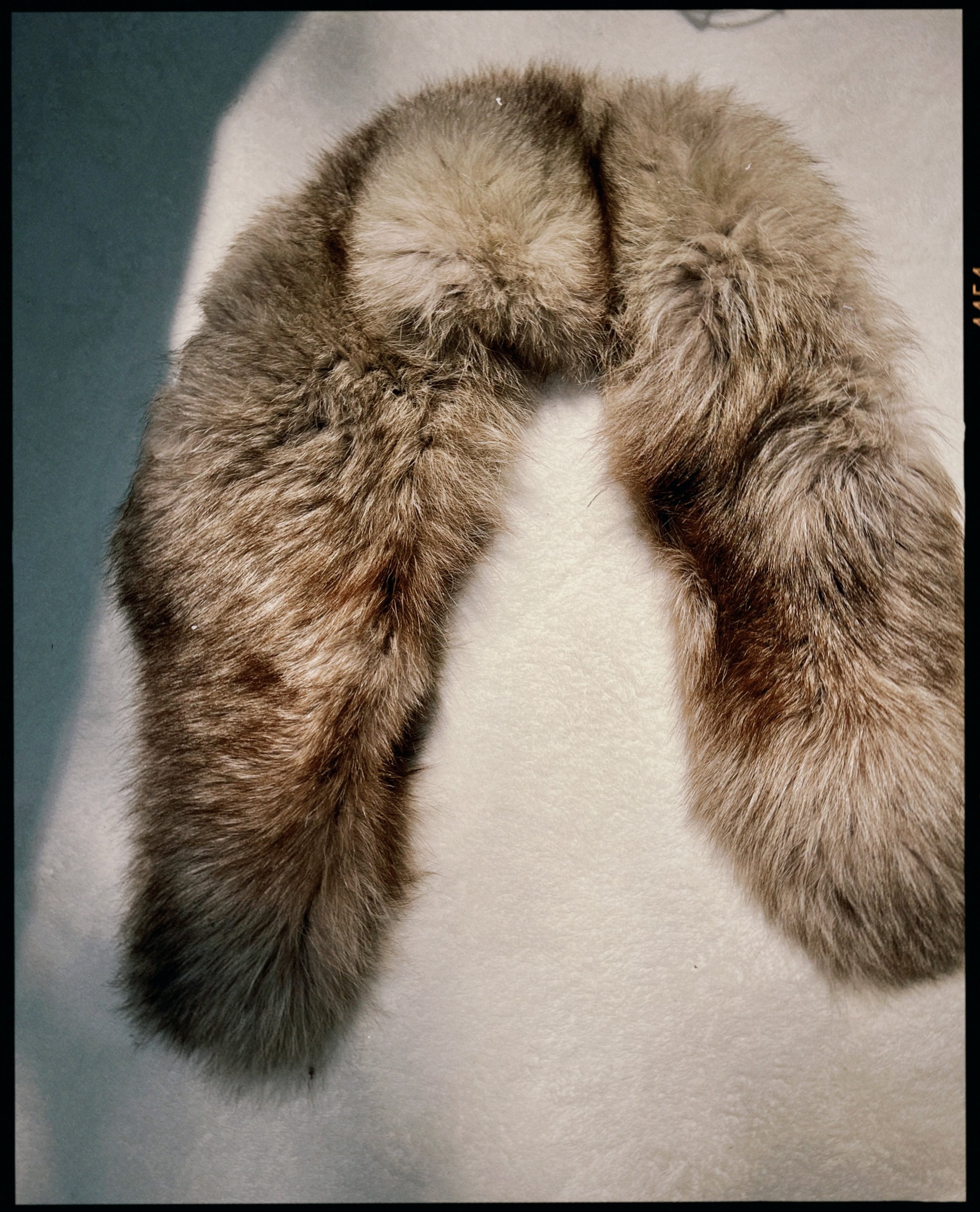 s67 2024-06-17 150452.724.jpg