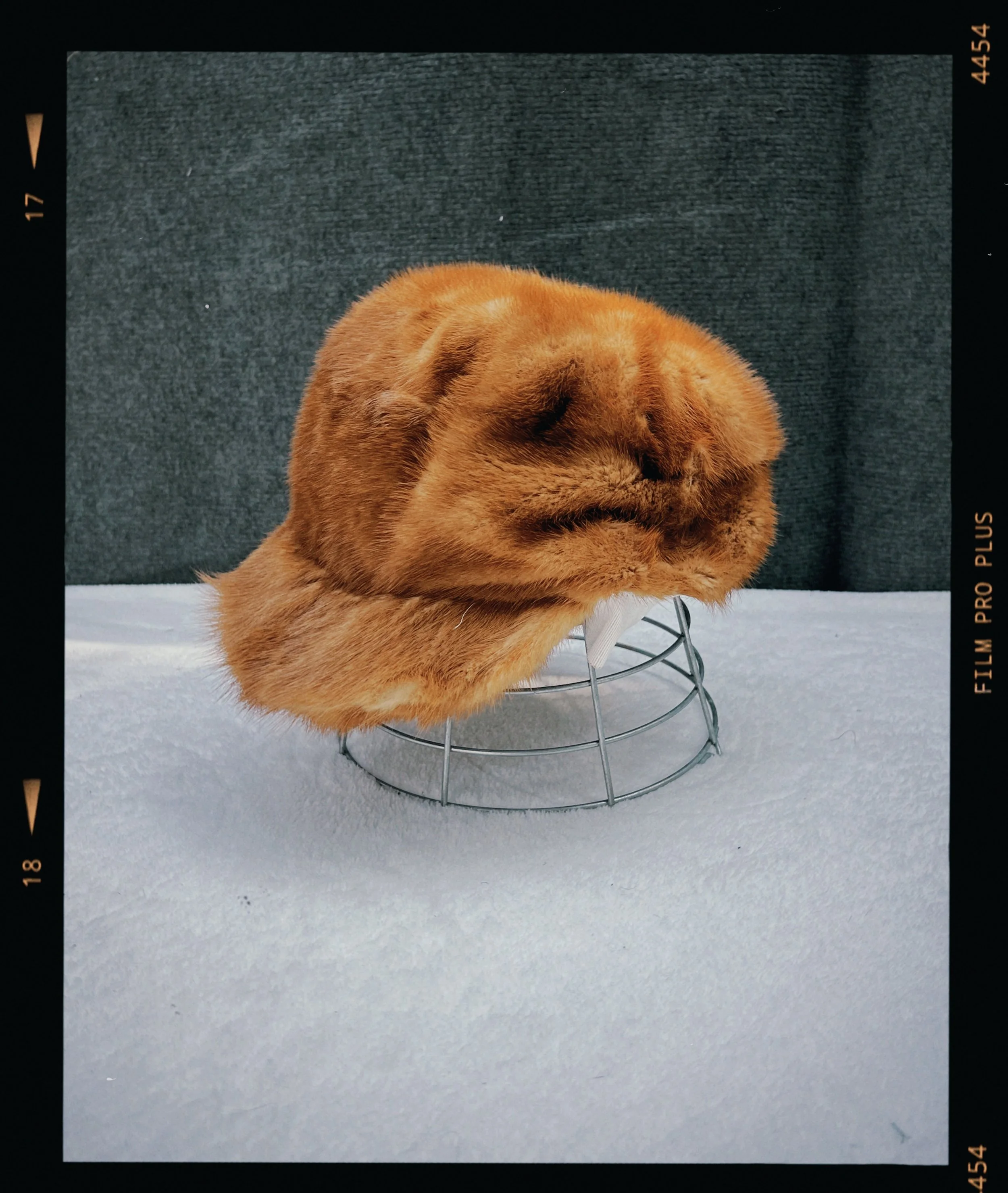 s67 2024-06-17 155437.912.JPG