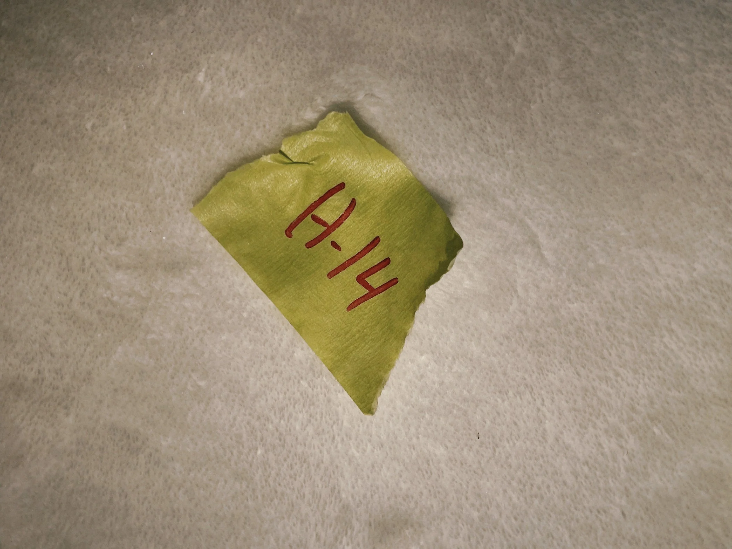 s67 2024-06-19 150501.991.JPG