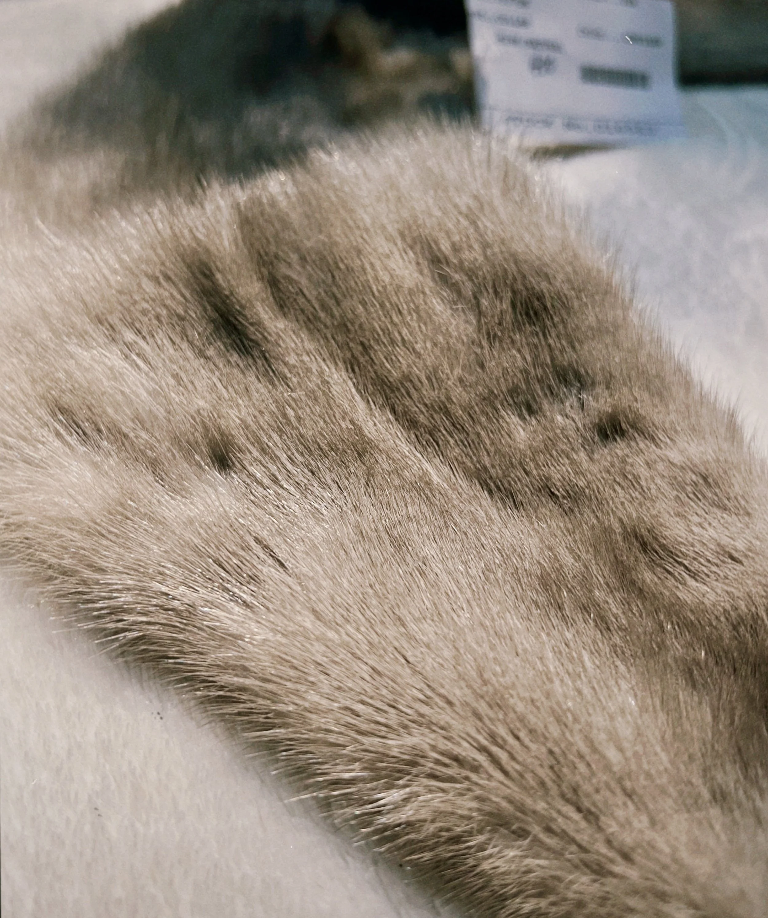 s67 2024-06-17 145223.910.jpg