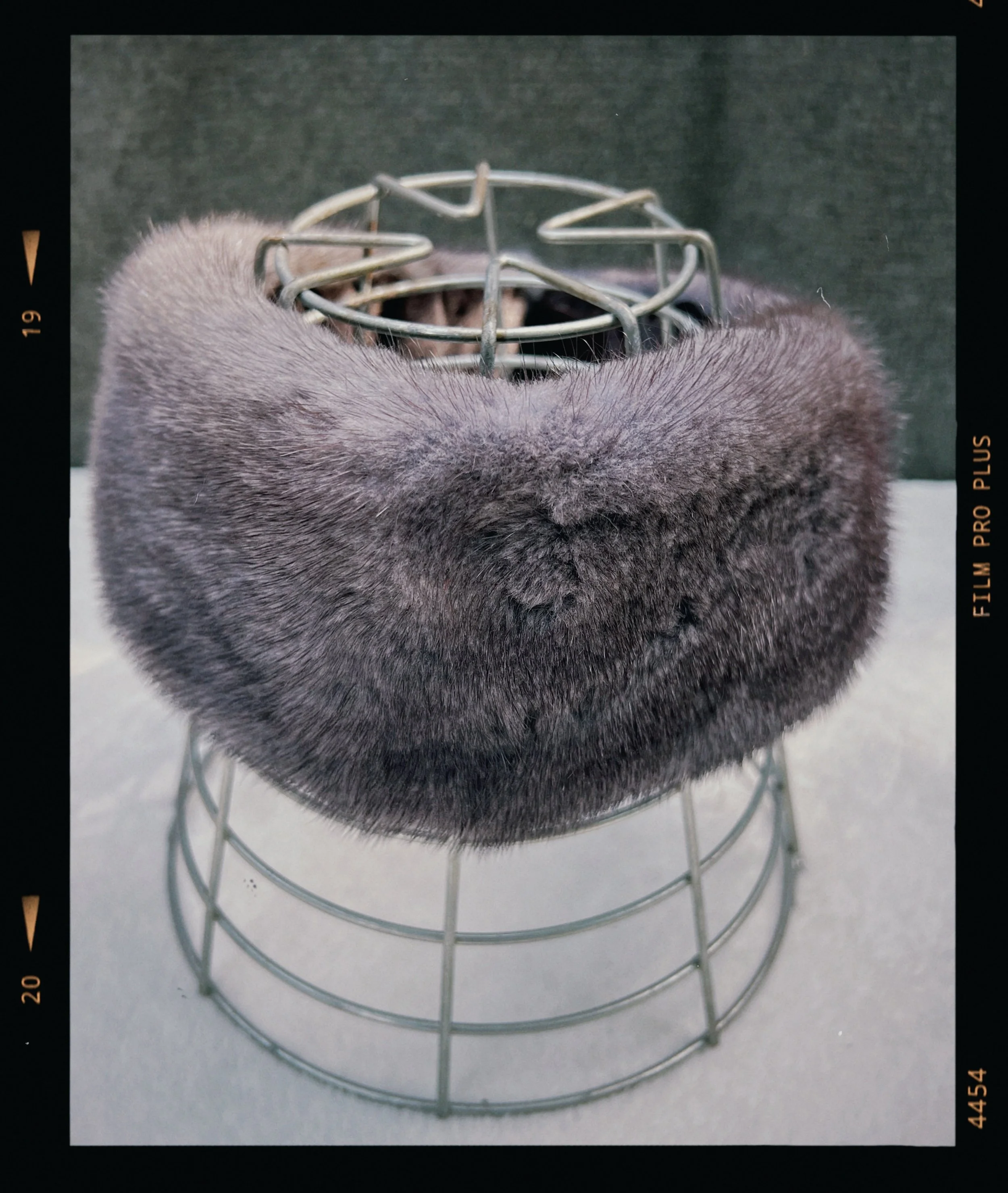 s67 2024-06-17 155617.321.JPG