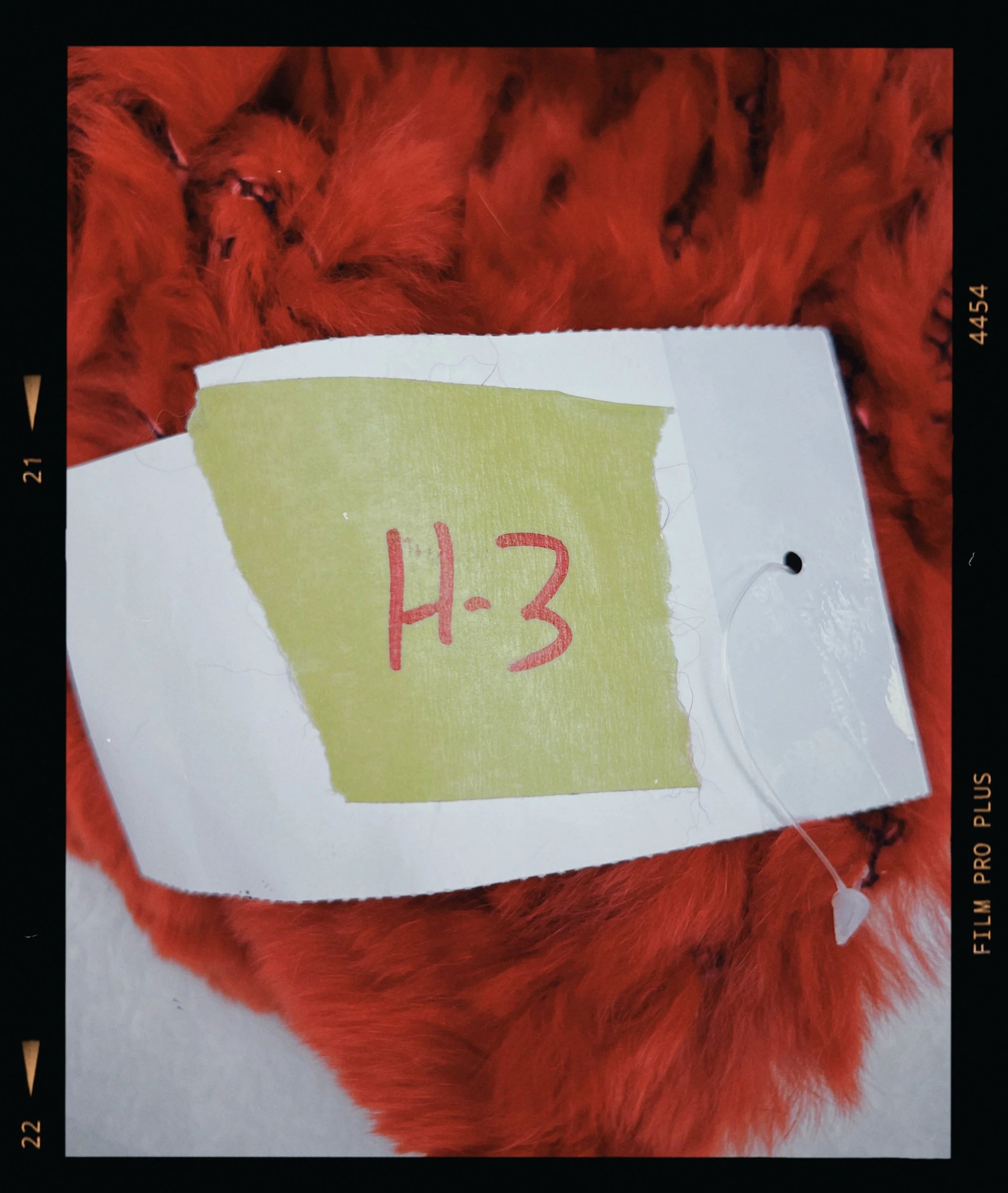 s67 2024-06-17 155300.478.JPG