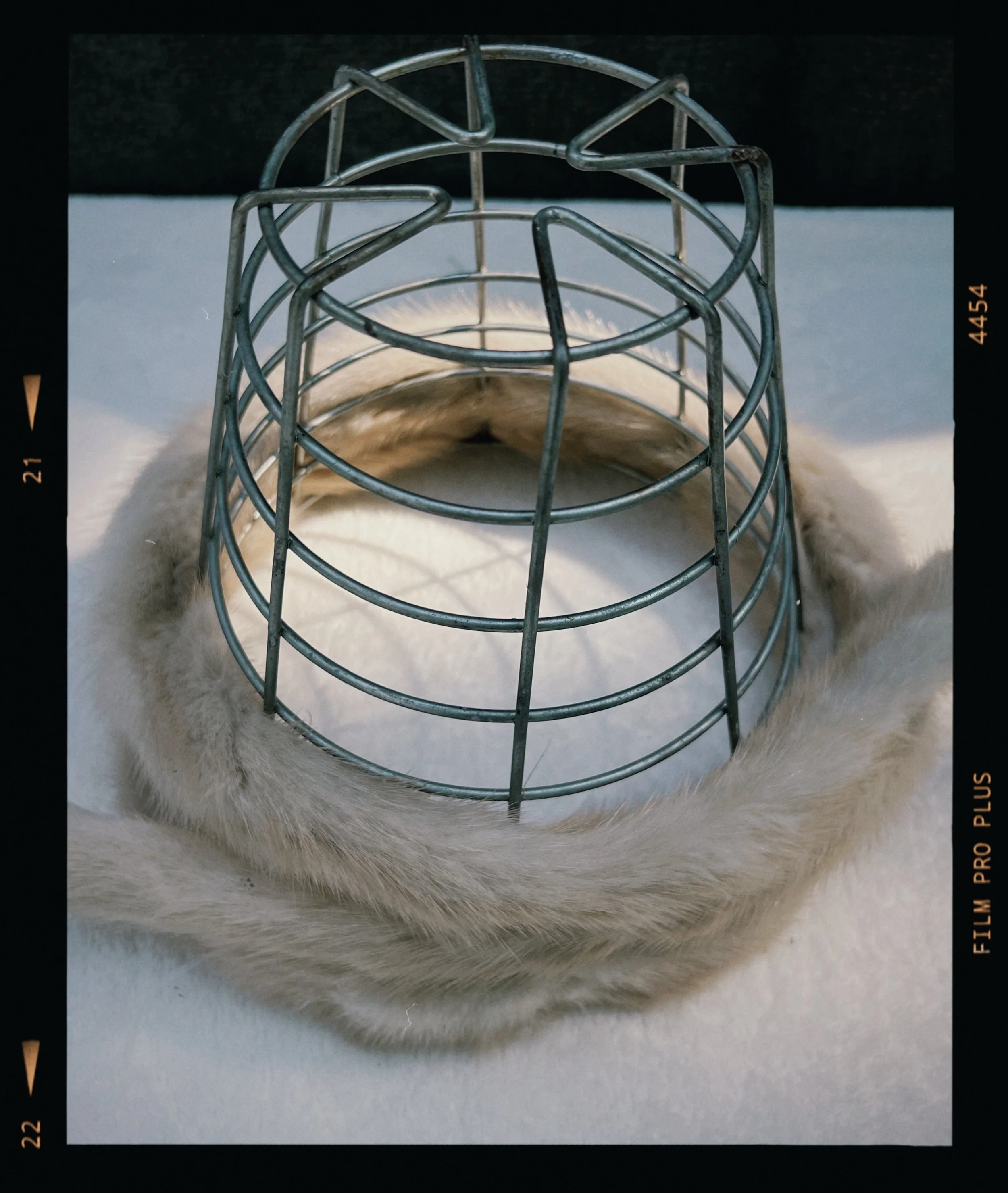 s67 2024-06-17 154846.300.JPG