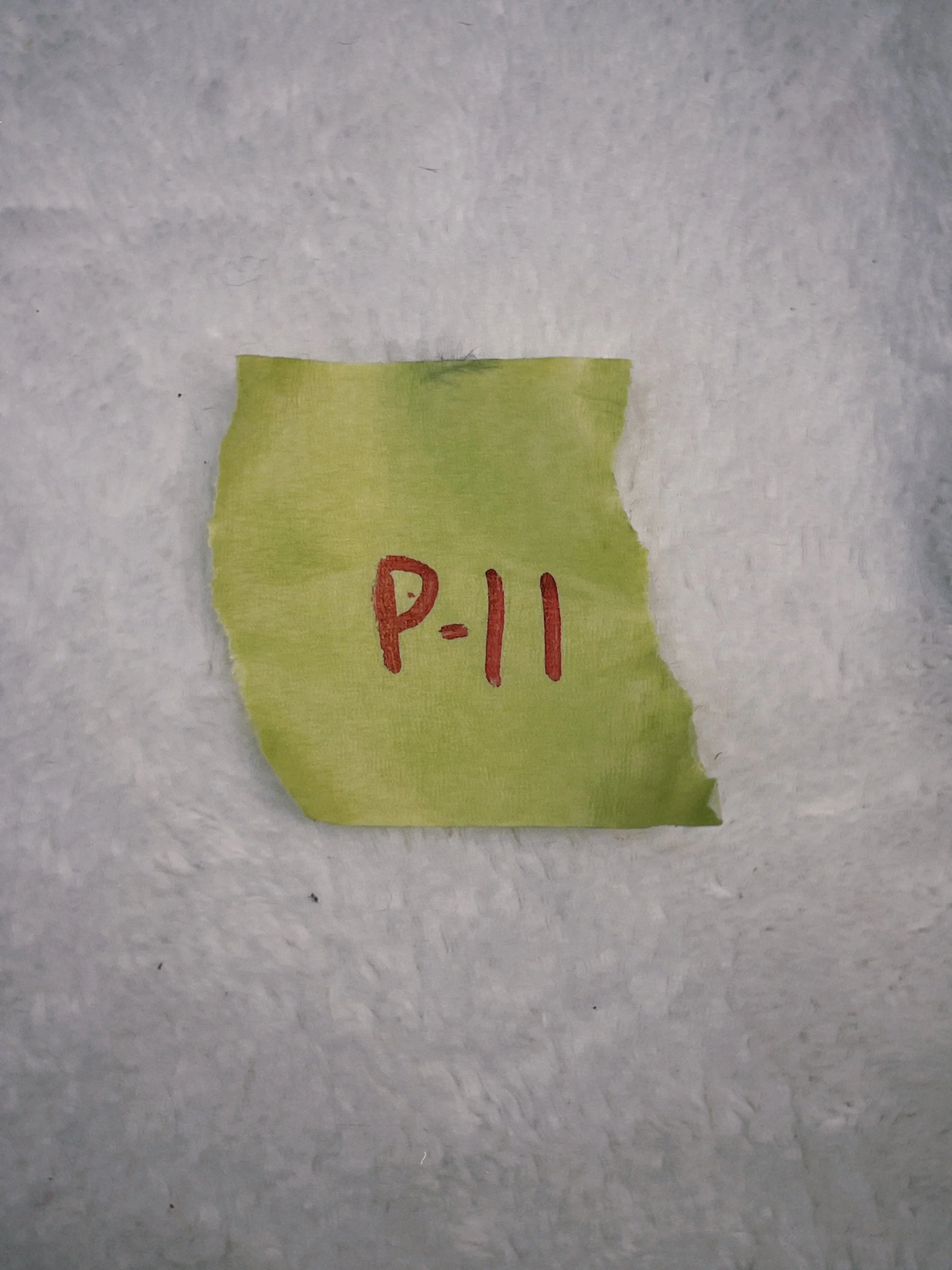 s67 2024-06-19 164345.288.JPG