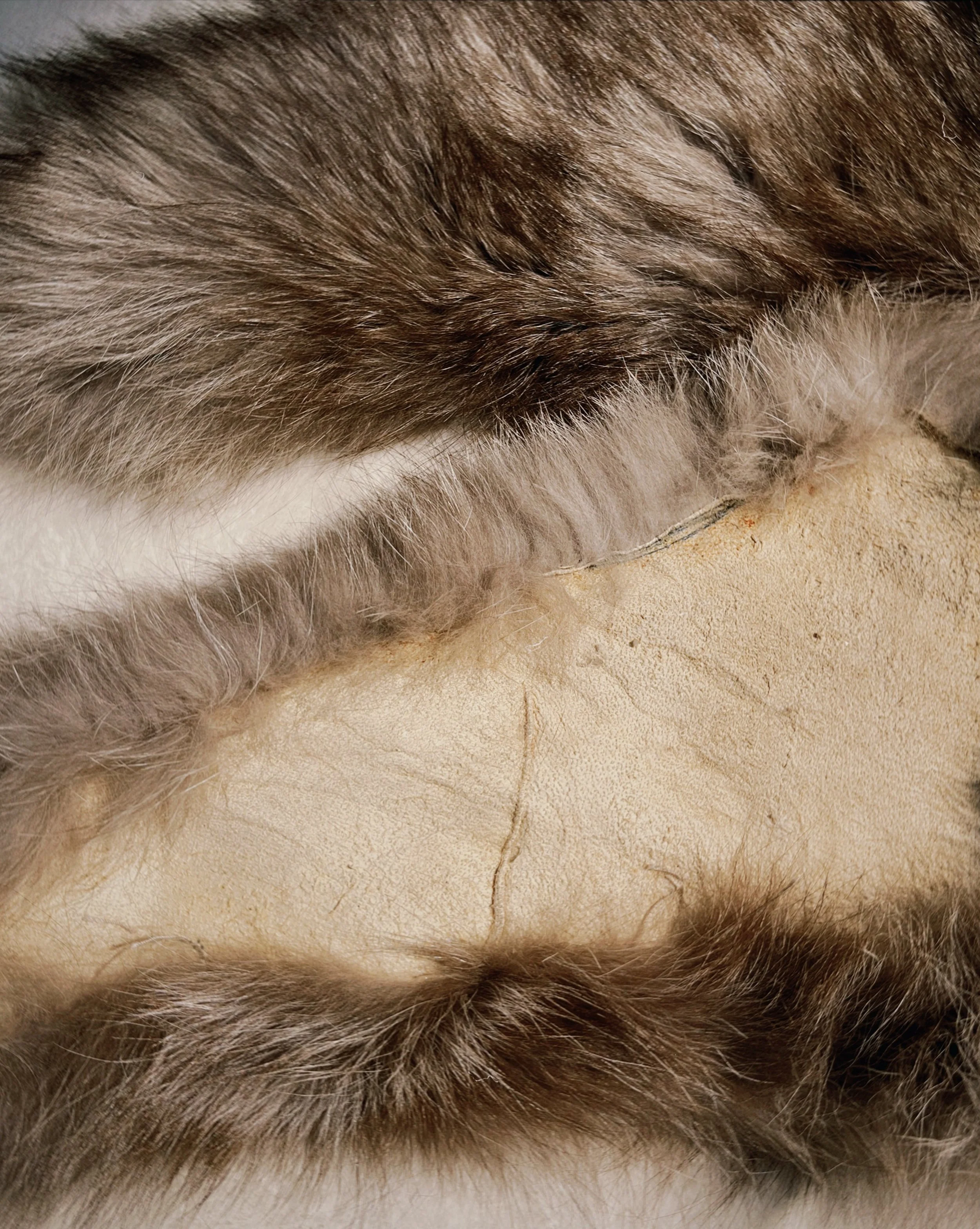 s67 2024-06-17 150508.605.jpg