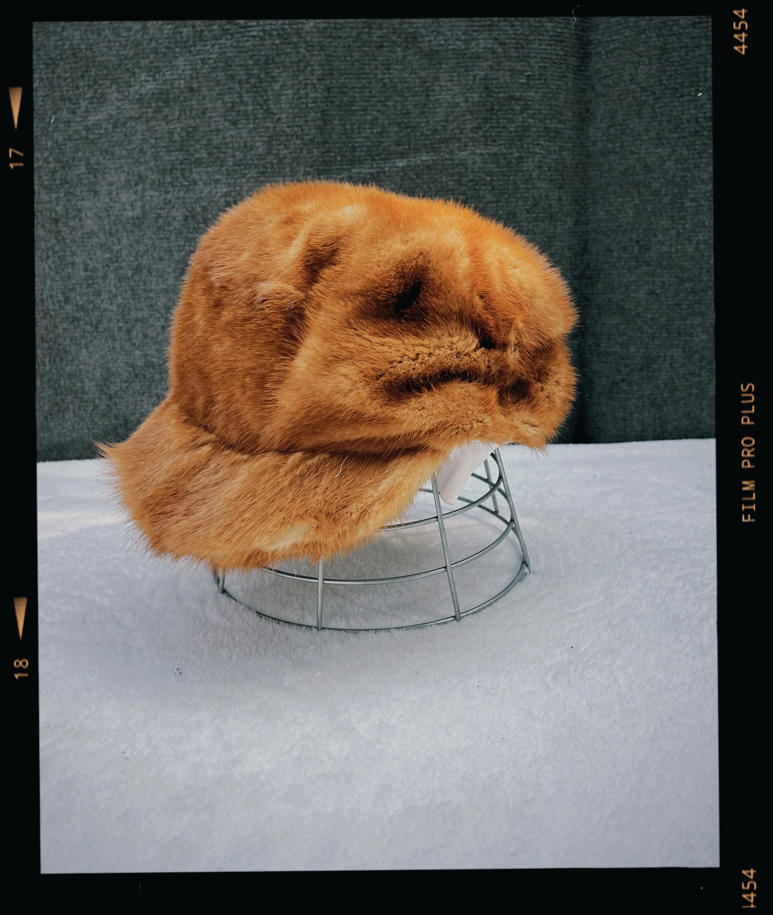 s67 2024-06-17 155442.030.JPG