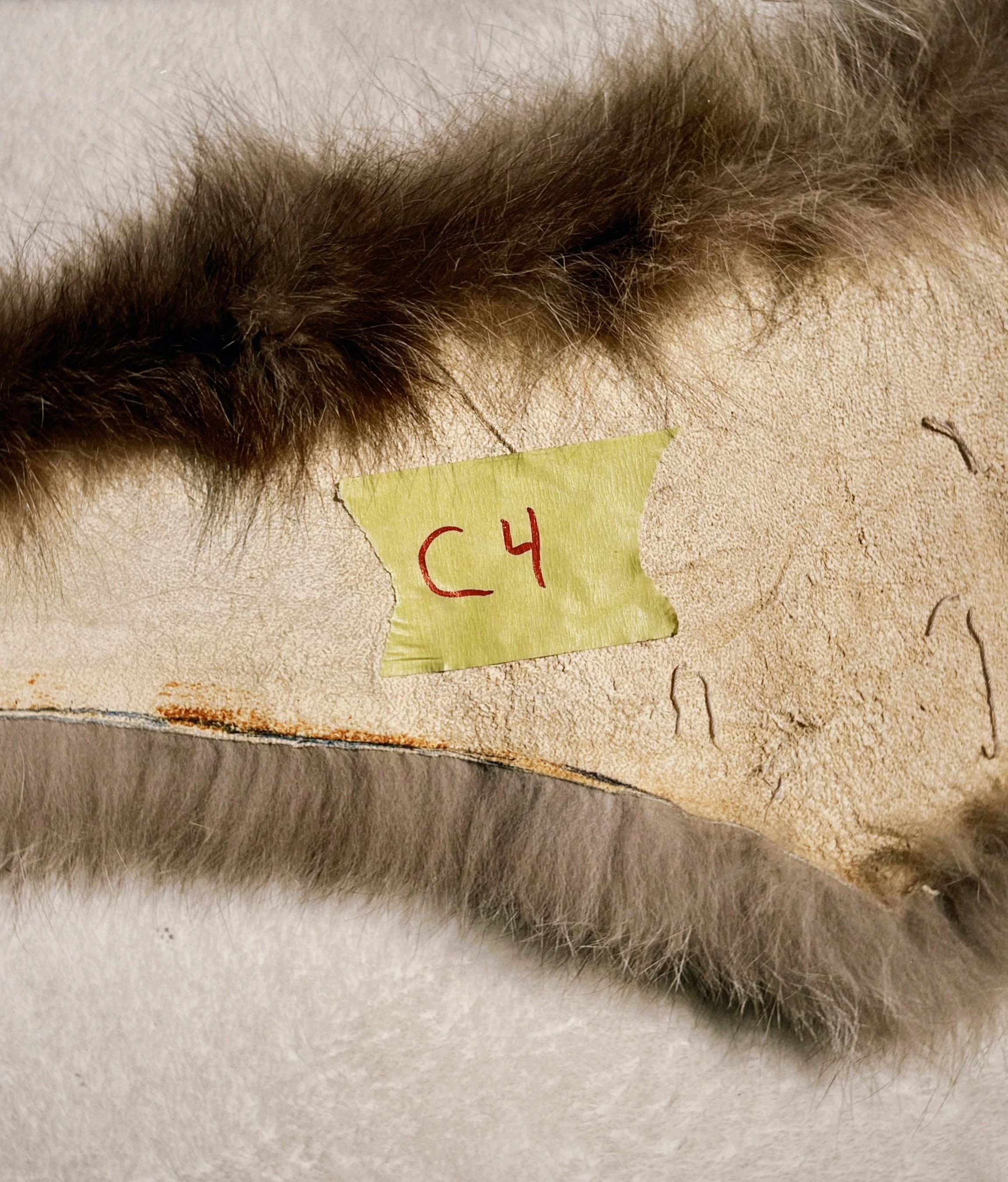 s67 2024-06-17 150348.084.jpg