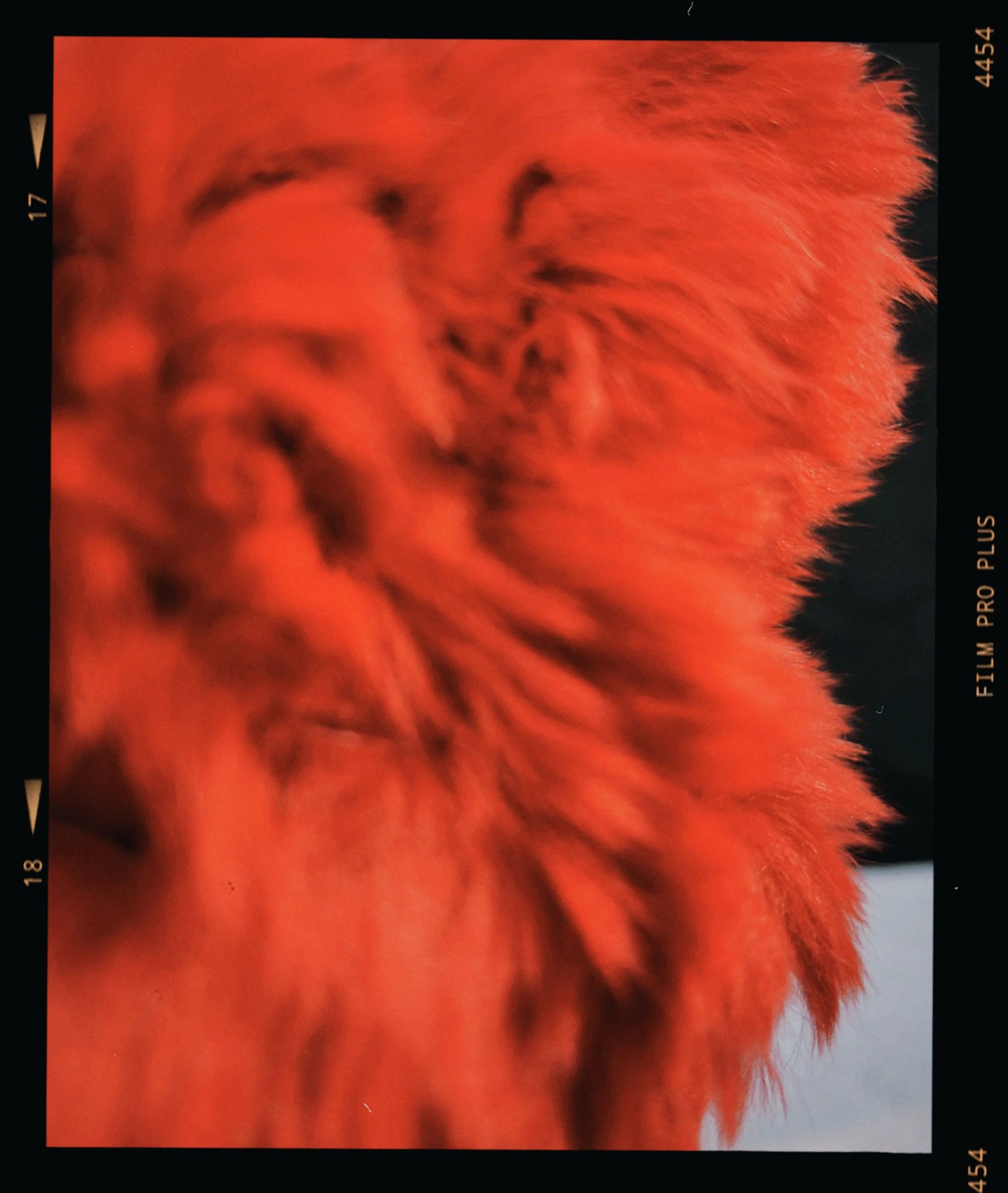 s67 2024-06-17 155344.649.JPG