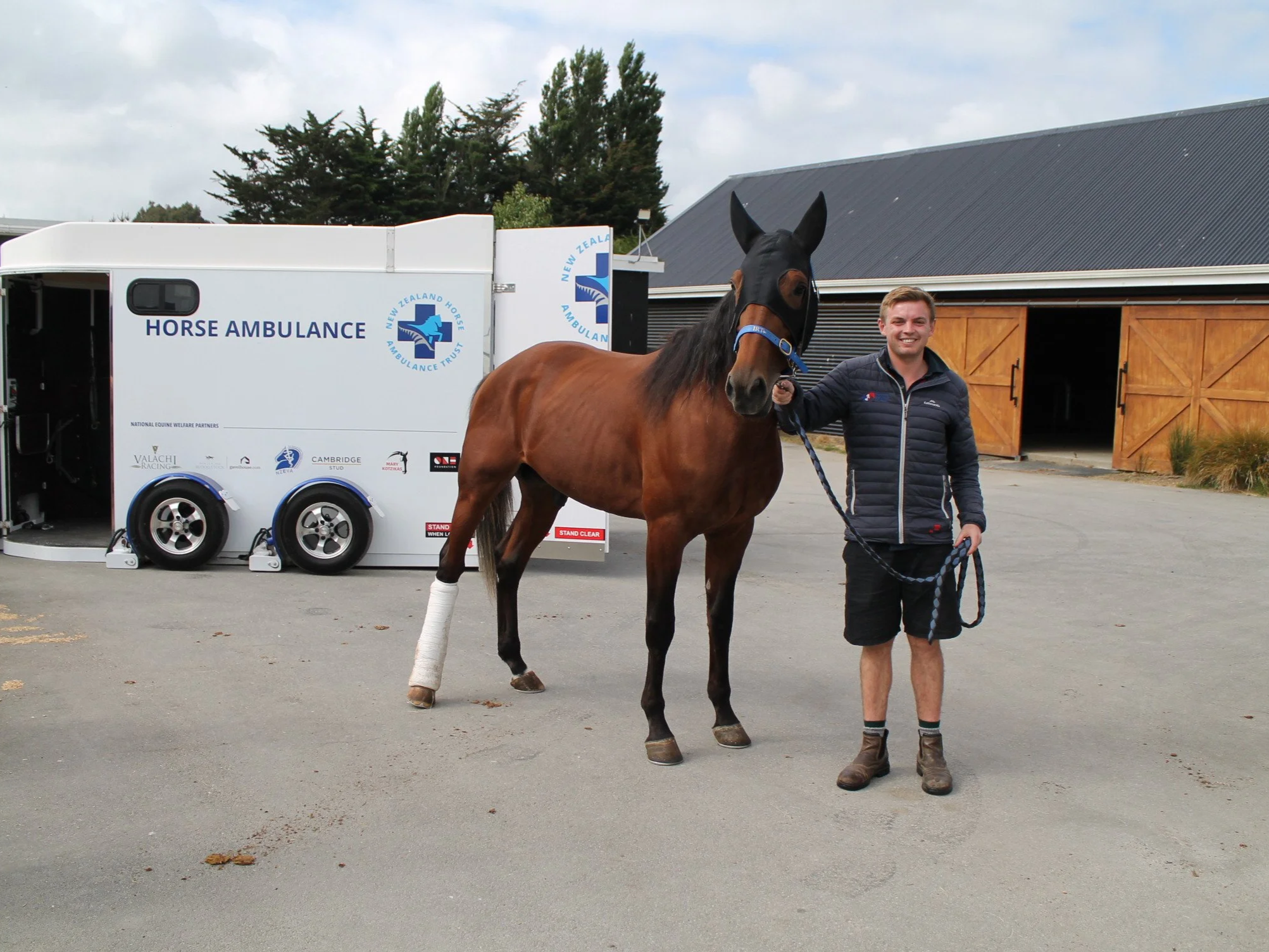 Star pacer on comeback trail after Horse Ambulance response