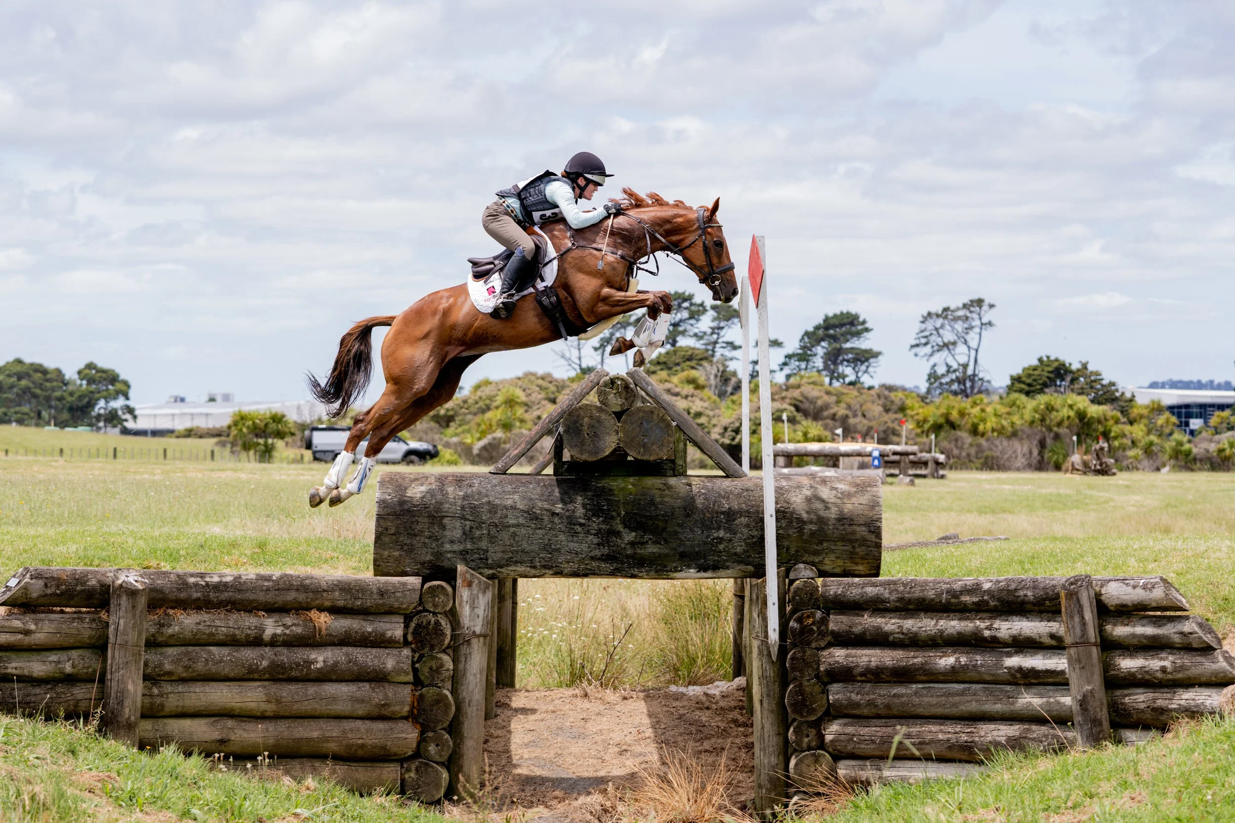 Here for the equestrian community