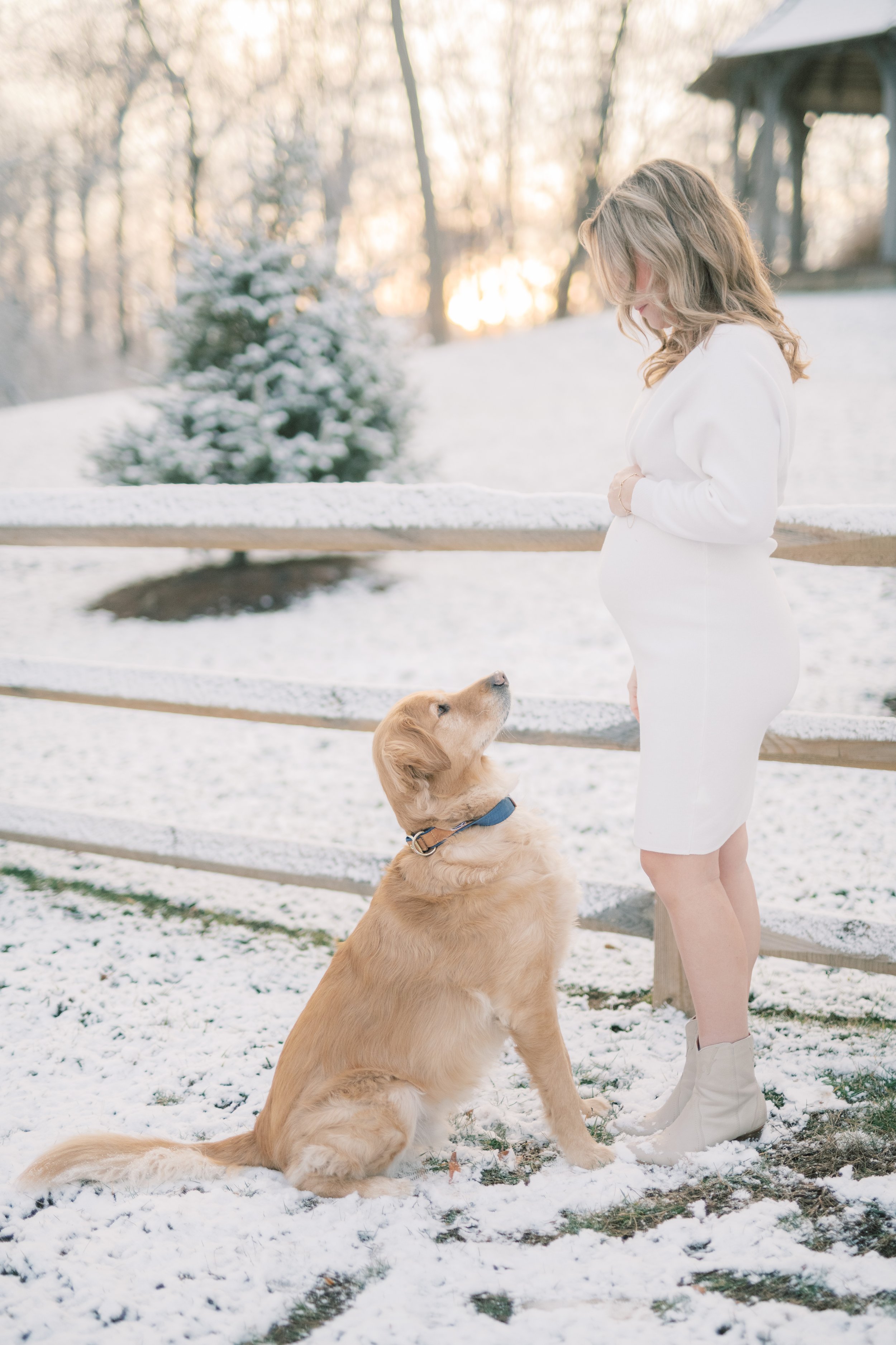 A woman in a white dress and white boots stands outdoors on snow, looking down at a sitting golden retriever. The dog is looking up at her. In the background, there is a wooden fence, snow-covered ground, and trees with a sunset sky.