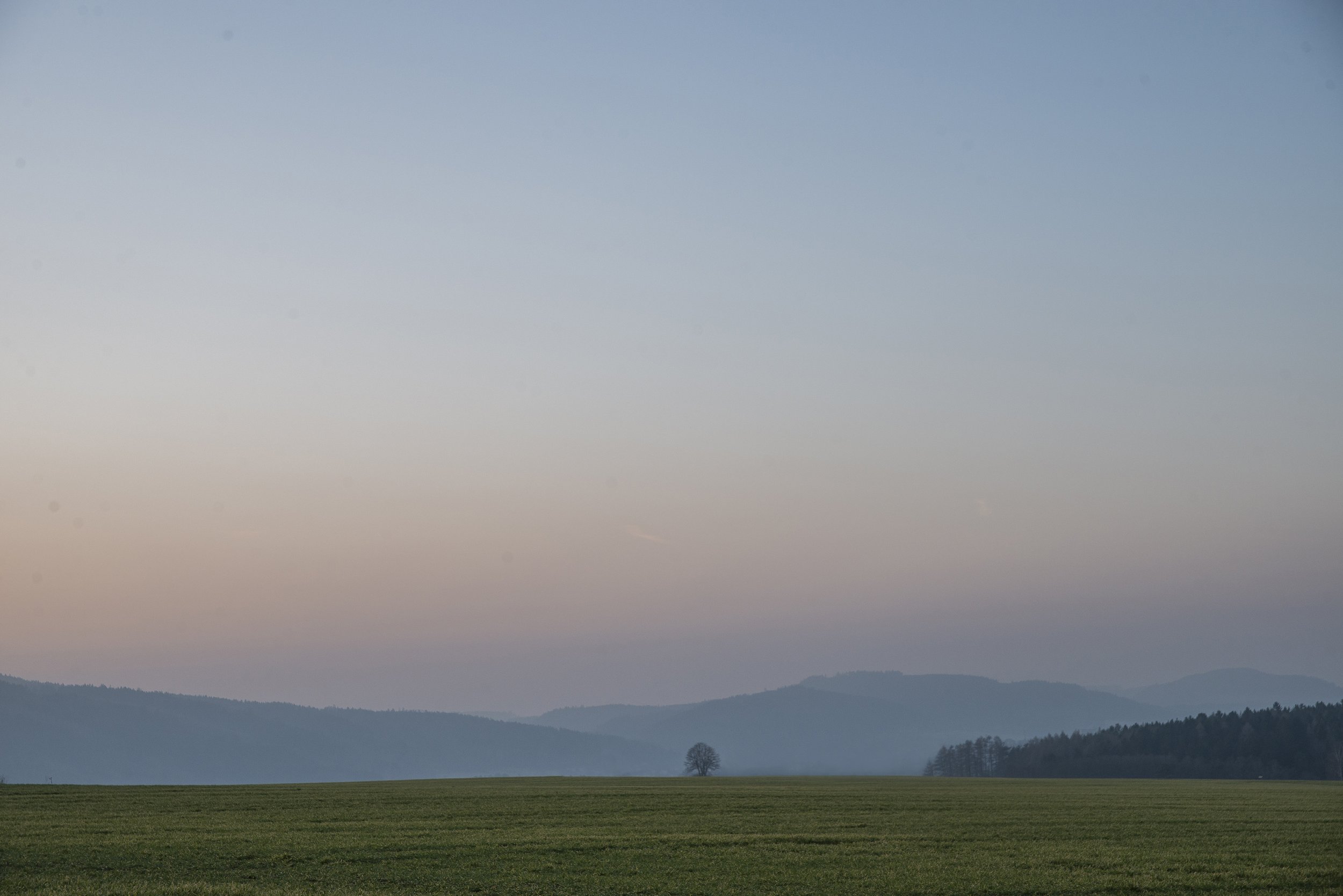 _DSC5349.jpg