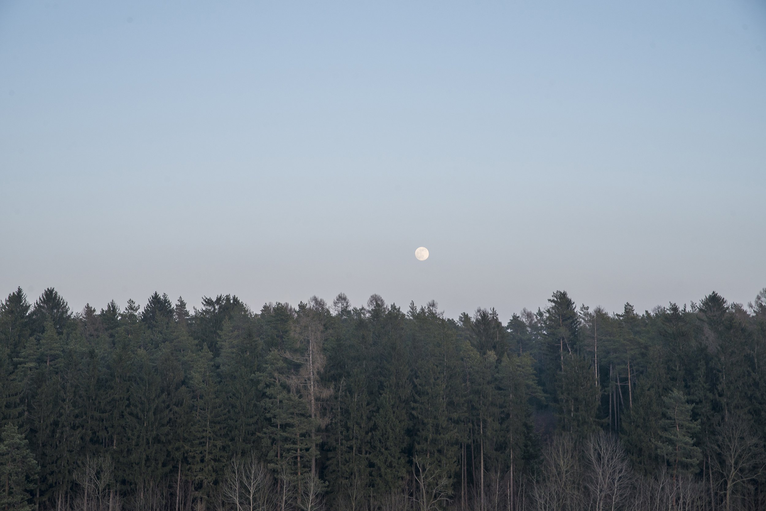 _DSC5351.jpg