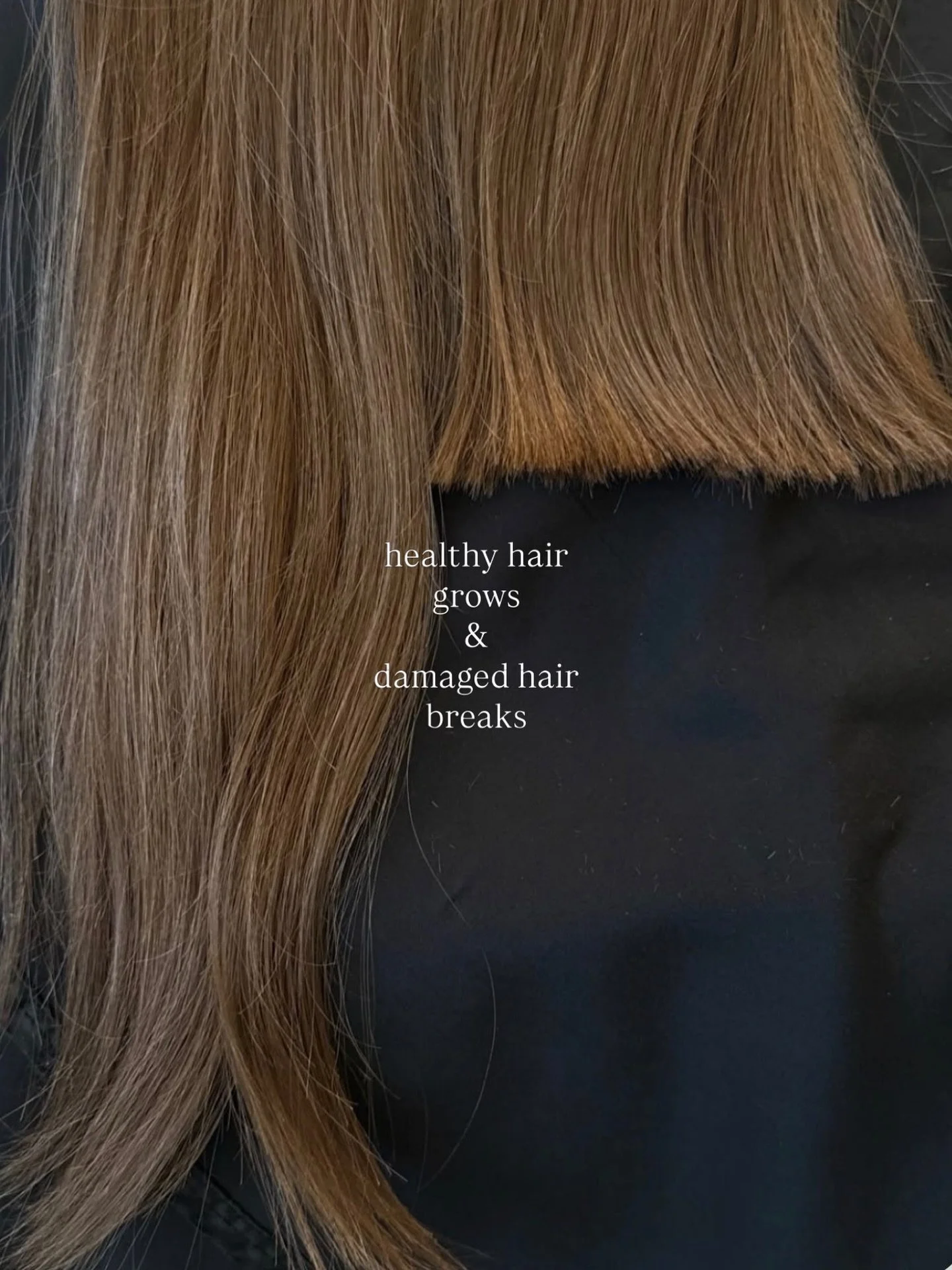 A trim will promise you clean ends &amp; healthy growth