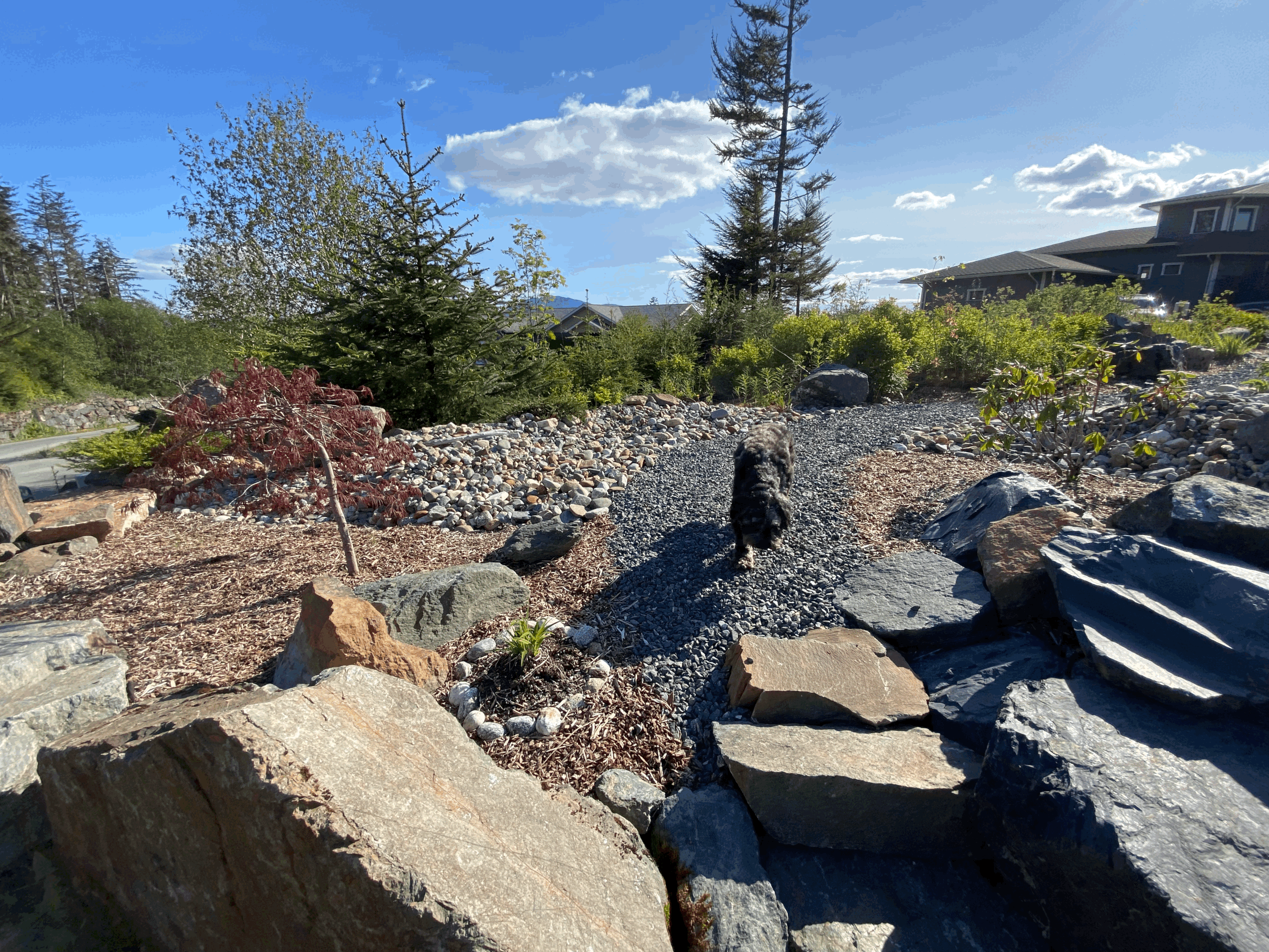 Garden Design & Installation