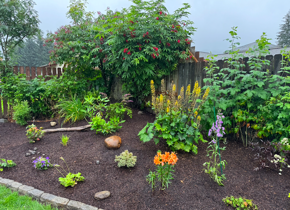 Screen Shot 2026-03-17 at 1.50.13 PM.png