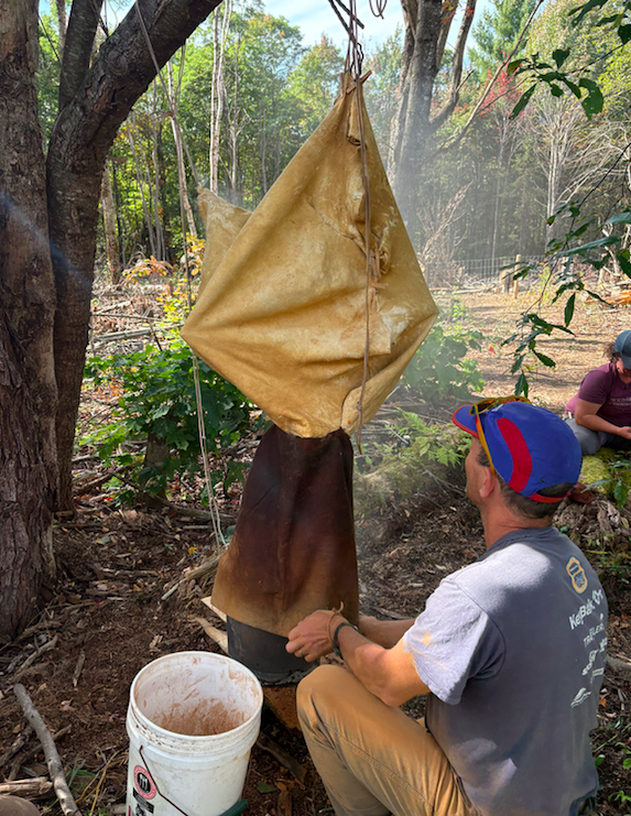Buckskin tanning class.