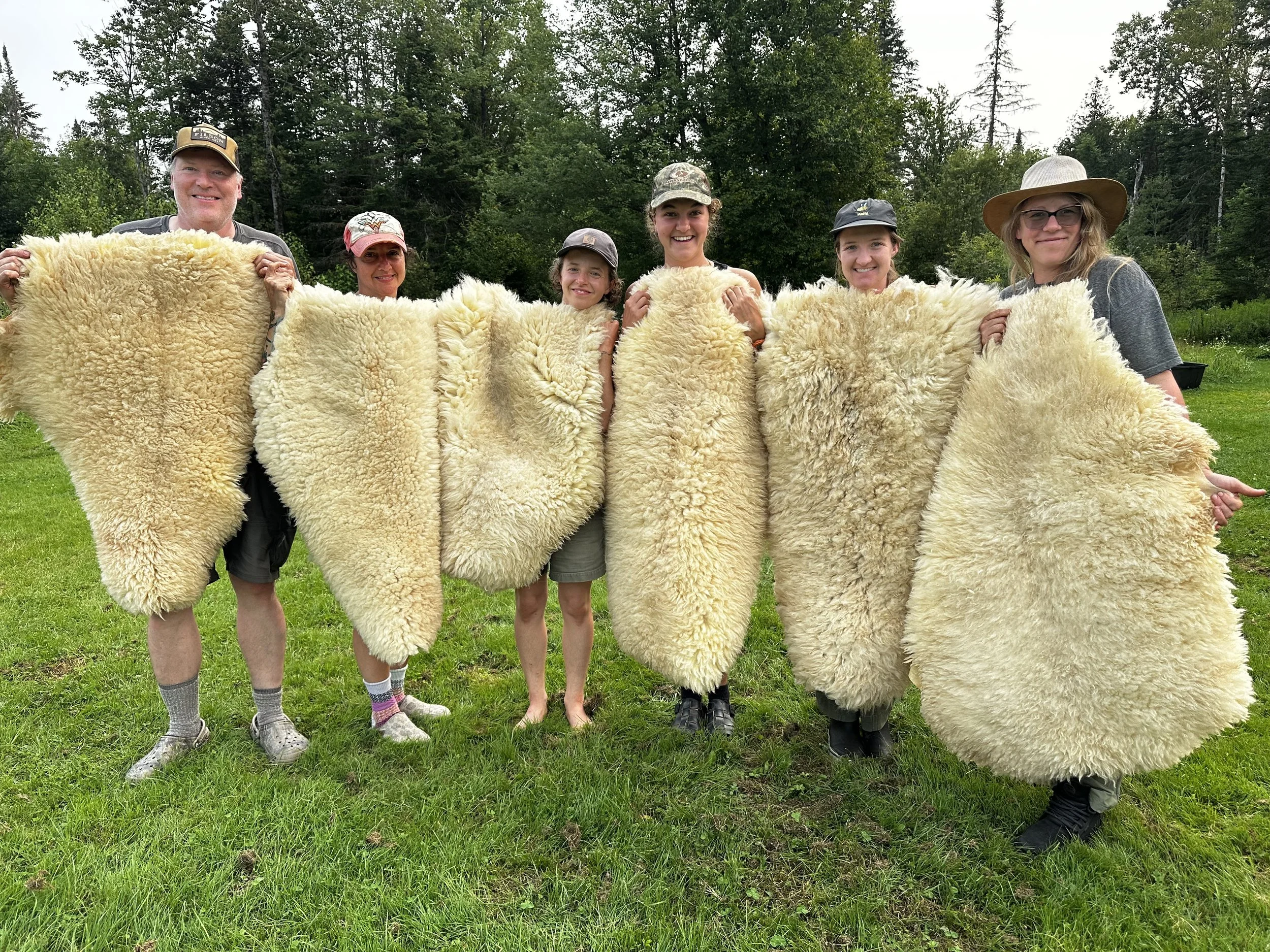 Sheepskin tanning class.