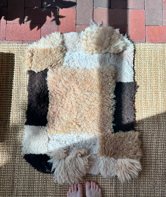 Sheep Mat.png