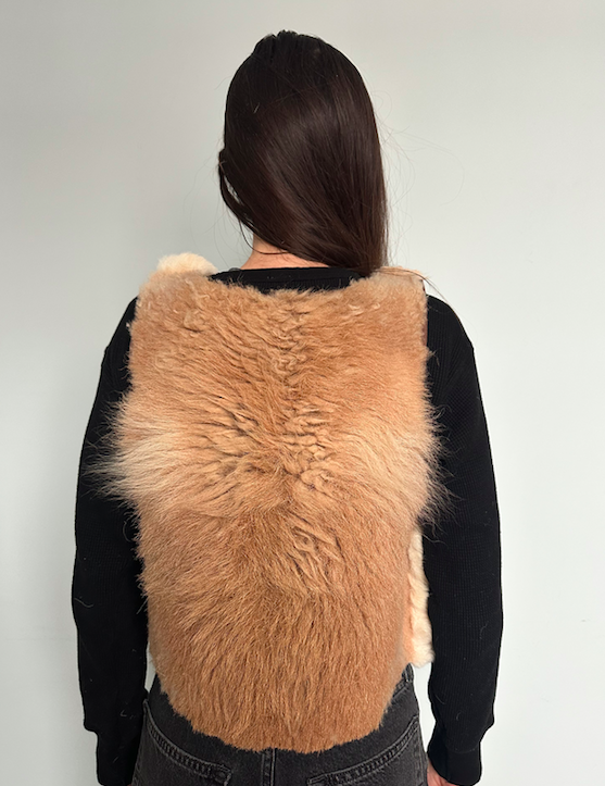 Screen Shot 2026-01-25 at 4.21.30 PM.png