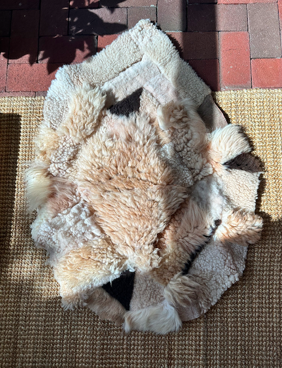 Sheepskin.png
