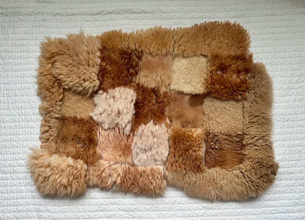 Screen Shot 2026-01-25 at 4.28.41 PM.png