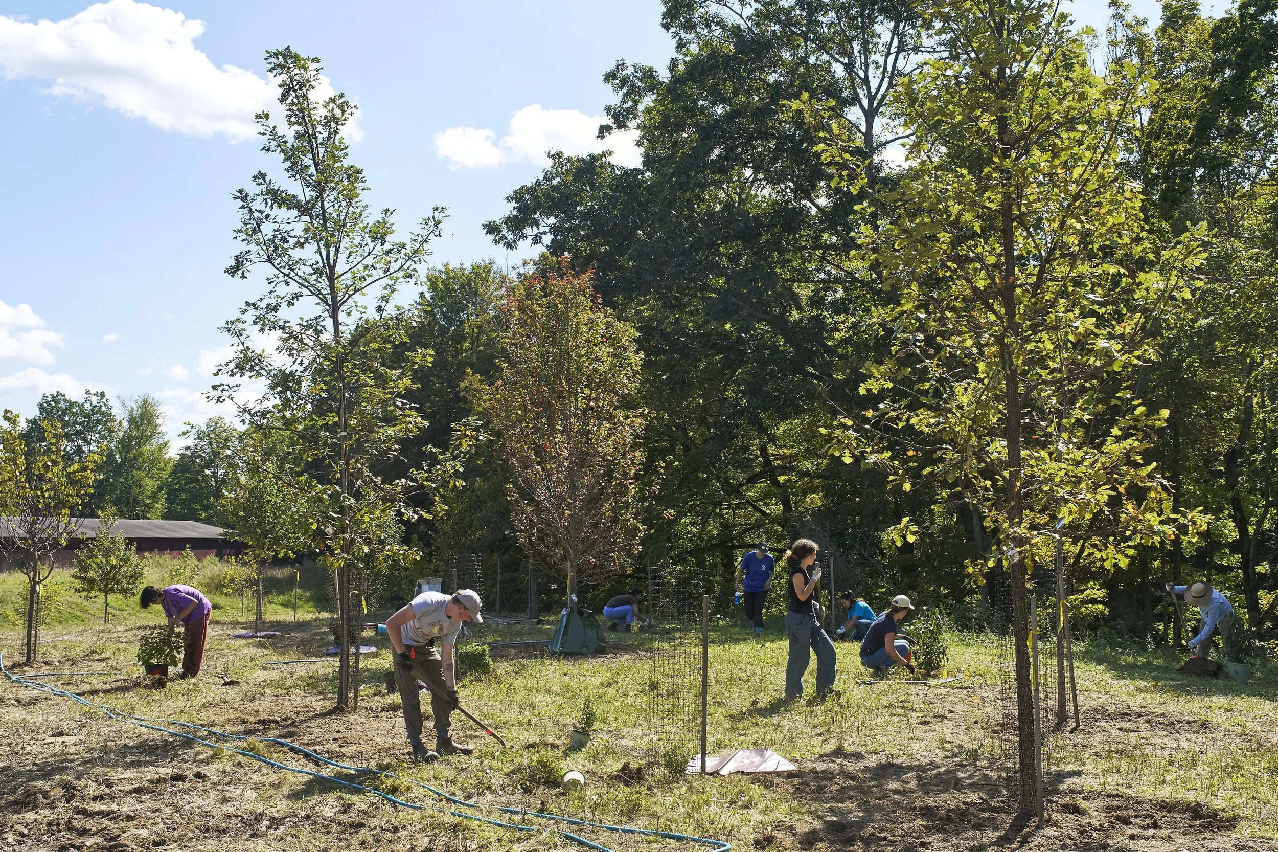 Tree Planting for Pollinators in Chester