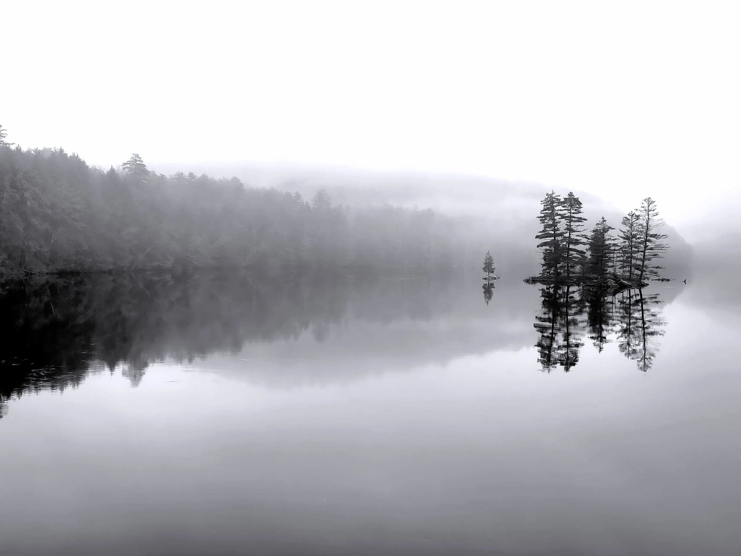 Webinar Recording: Rewilding at Work in the Hudson Valley