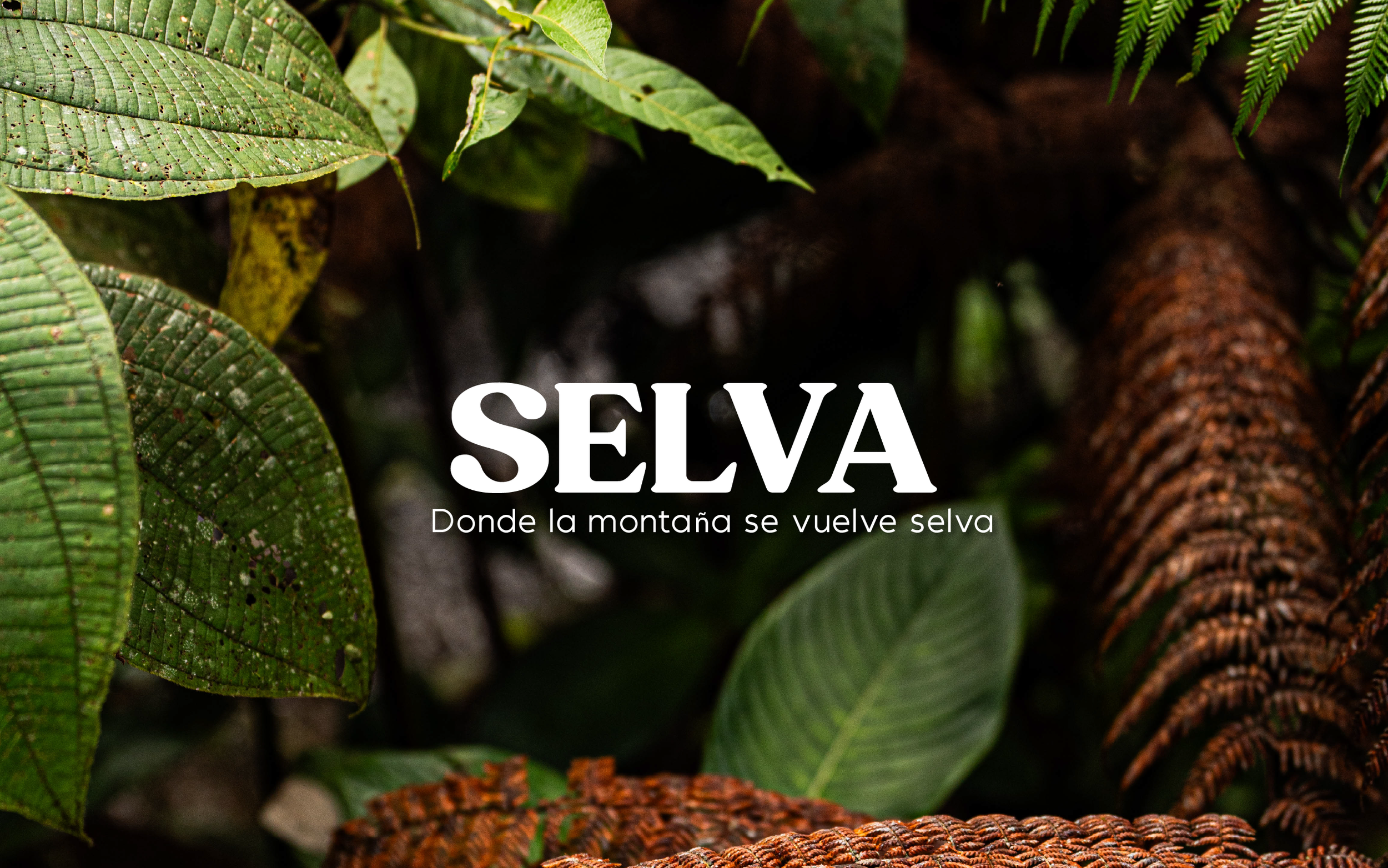 Close-up of green leaves and tree bark in a jungle setting with the text 'SELVA', 'Donde la montaña se vuelvo selva' overlayed.