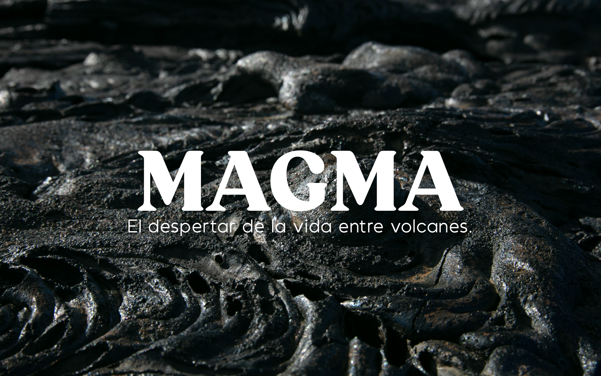 Close-up of black volcanic rocks with the word 'MAGMA' and the subtitle 'El despertar de la vida entre volcanes' overlaid.