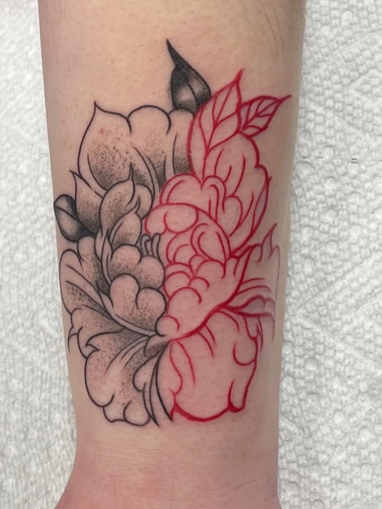 🚨🚨GUEST ARTIST ALERT 🚨🚨 @facefullofink is joining us this Monday the 22nd! LZ is taking walk-ins or DM to set up an appointment @facefullofink 

Thanks for looking!