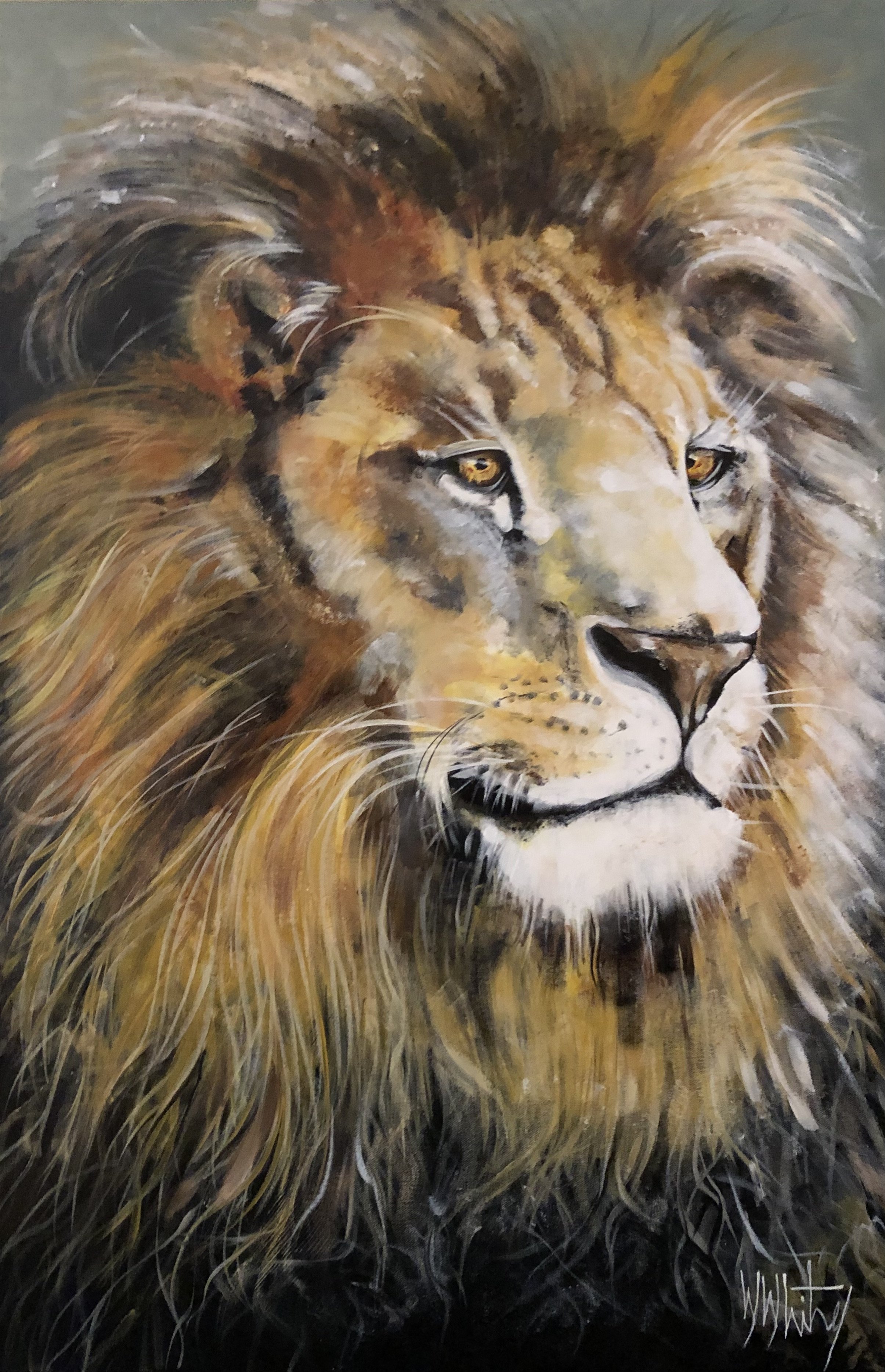 African Lion "Aslan" 24"x36"
