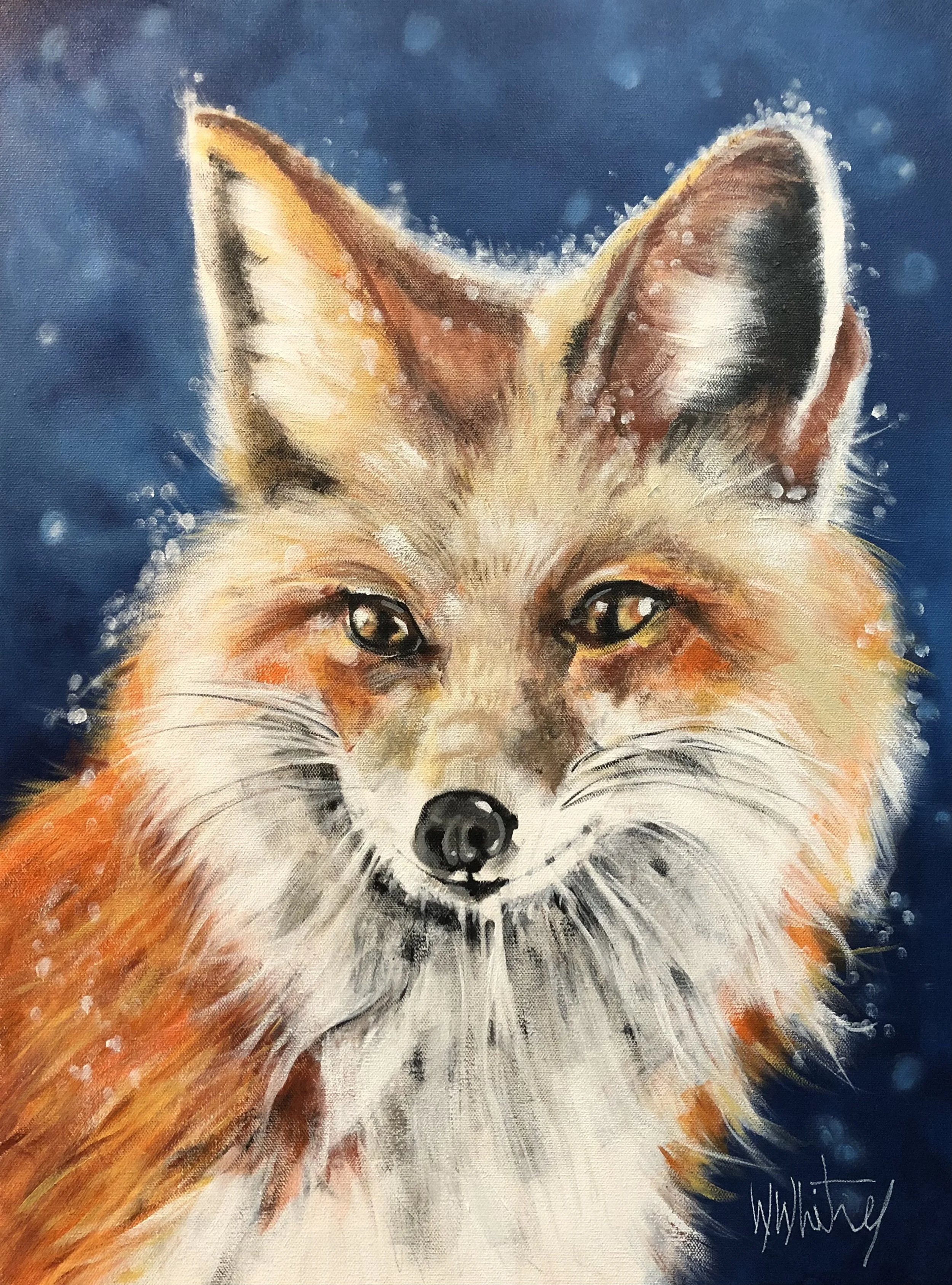 Red Fox In Snow II 18"x24" Commission