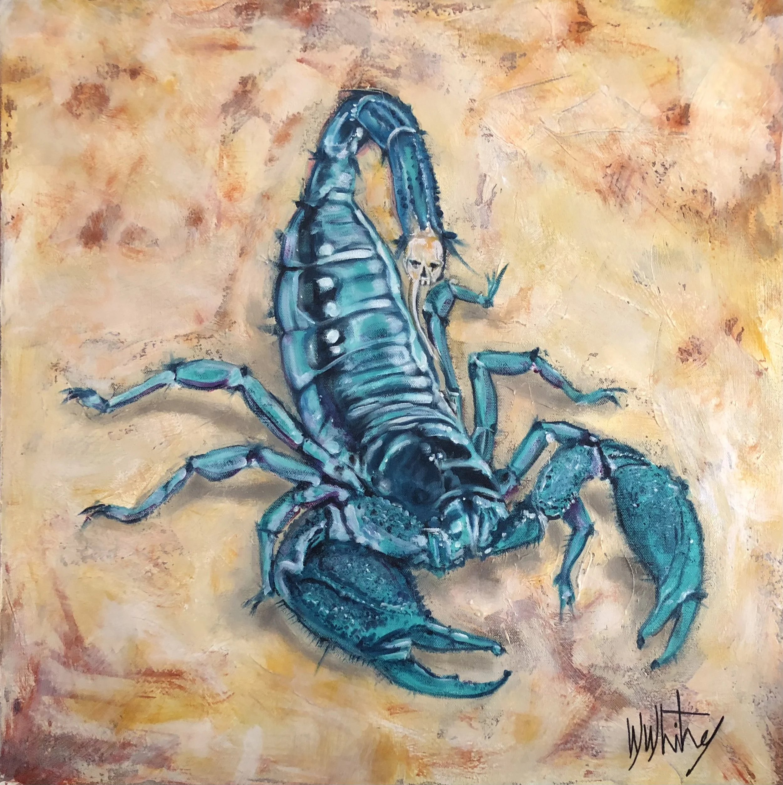 Blue "Death Head" Scorpion 24"x24"