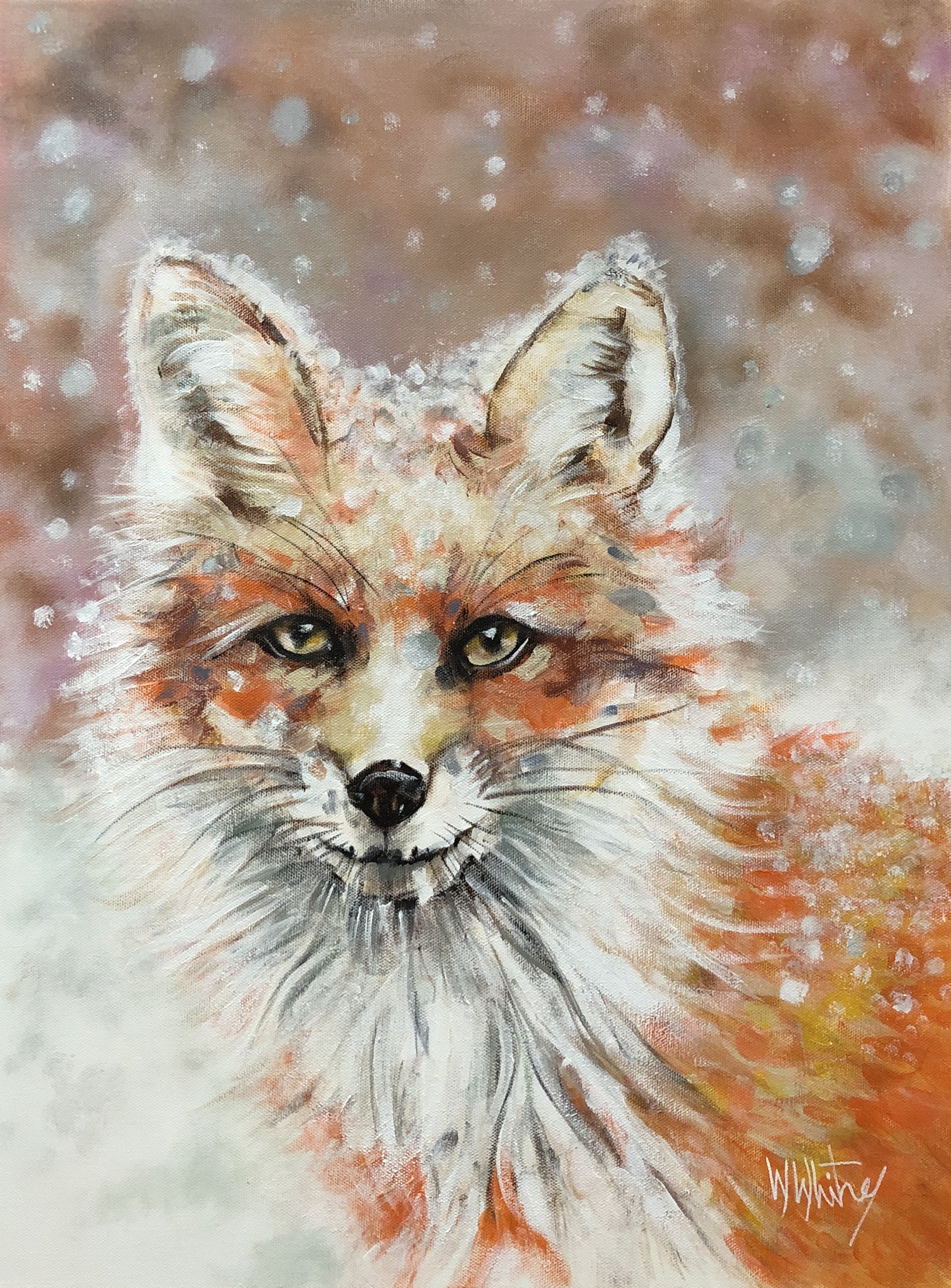 Red Fox in Snow I "Cover for The Newton Community Magazine" 18"x24" NFS