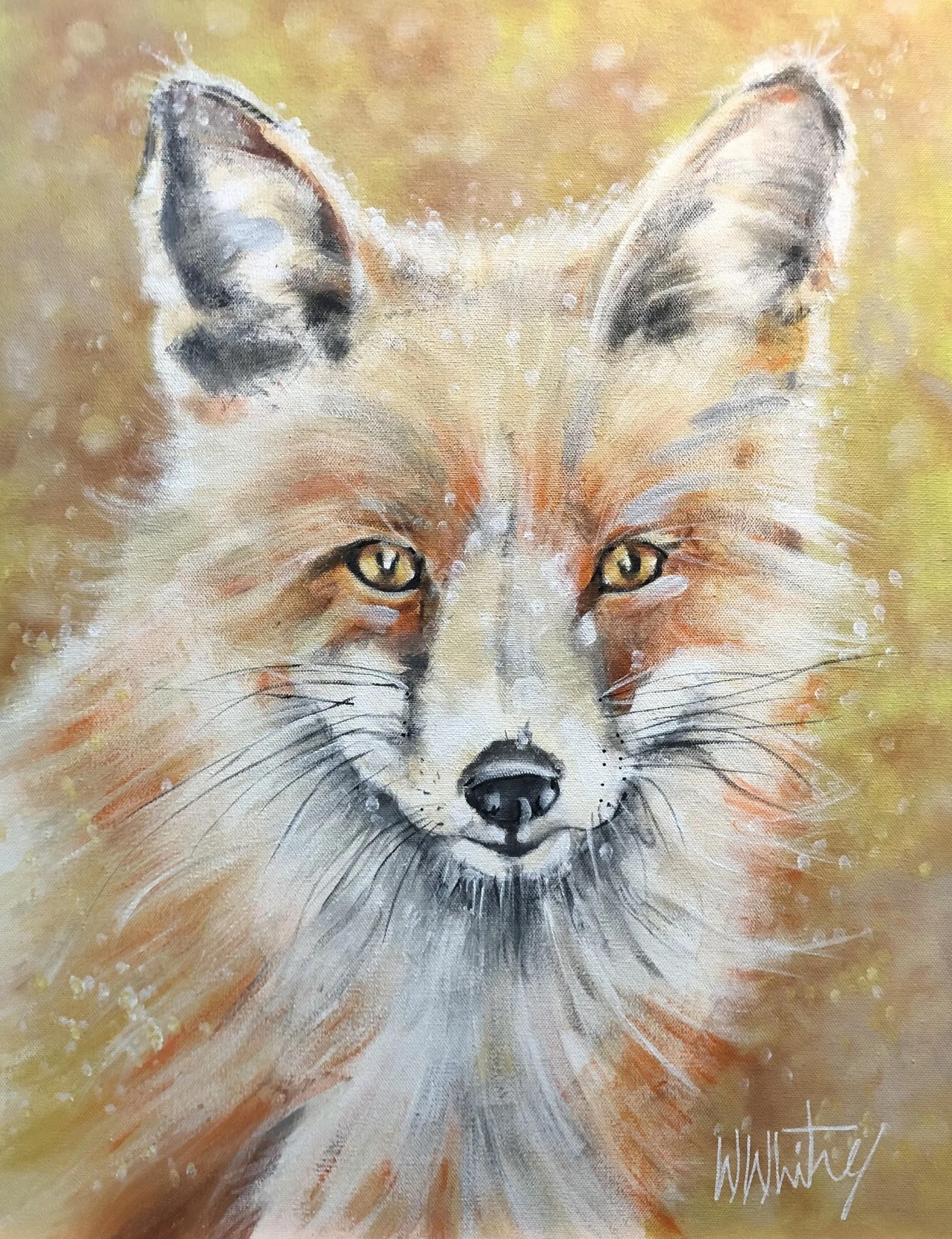 Commission Piece Red Fox in Snow III 18"x24" SOLD