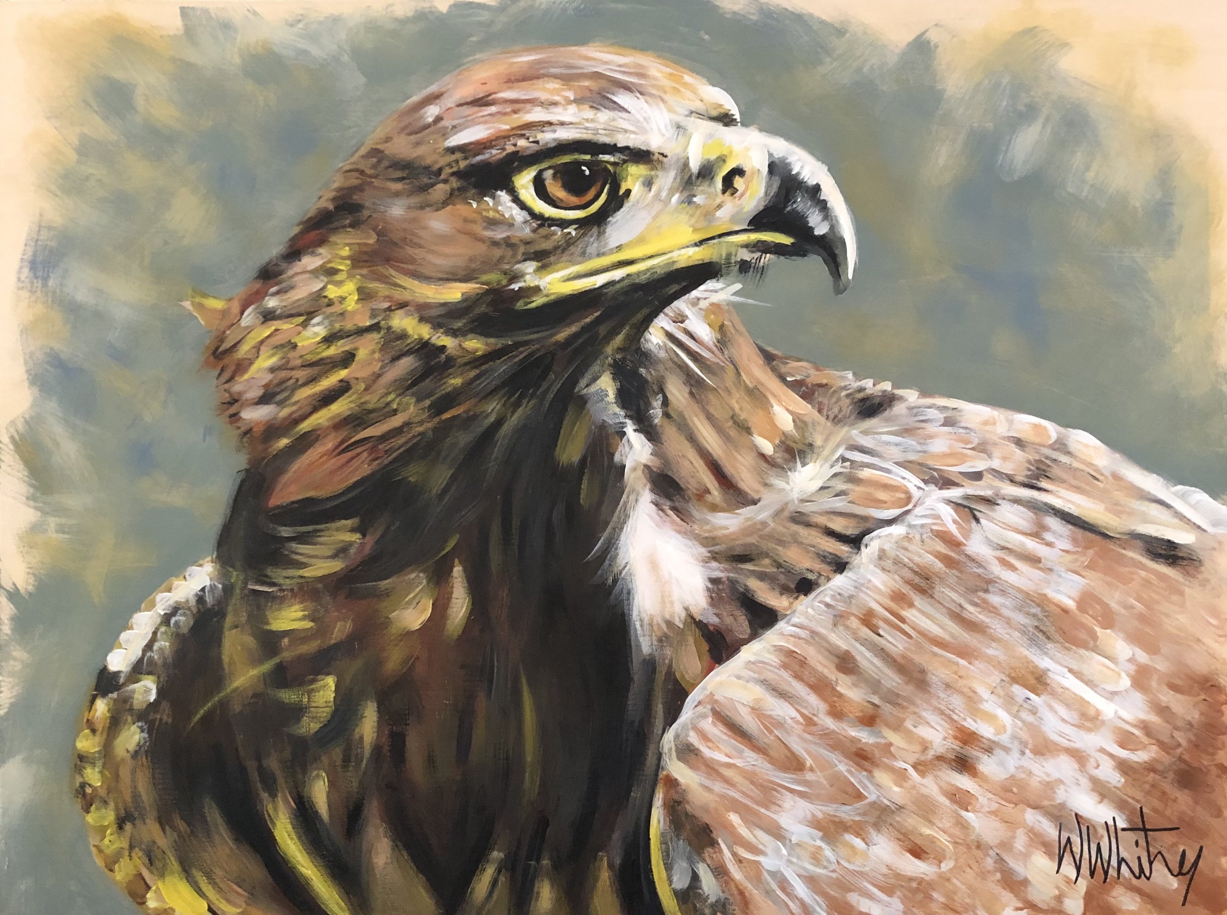 Golden Eagle "Fireun - "The True Bird" " 24x18" 