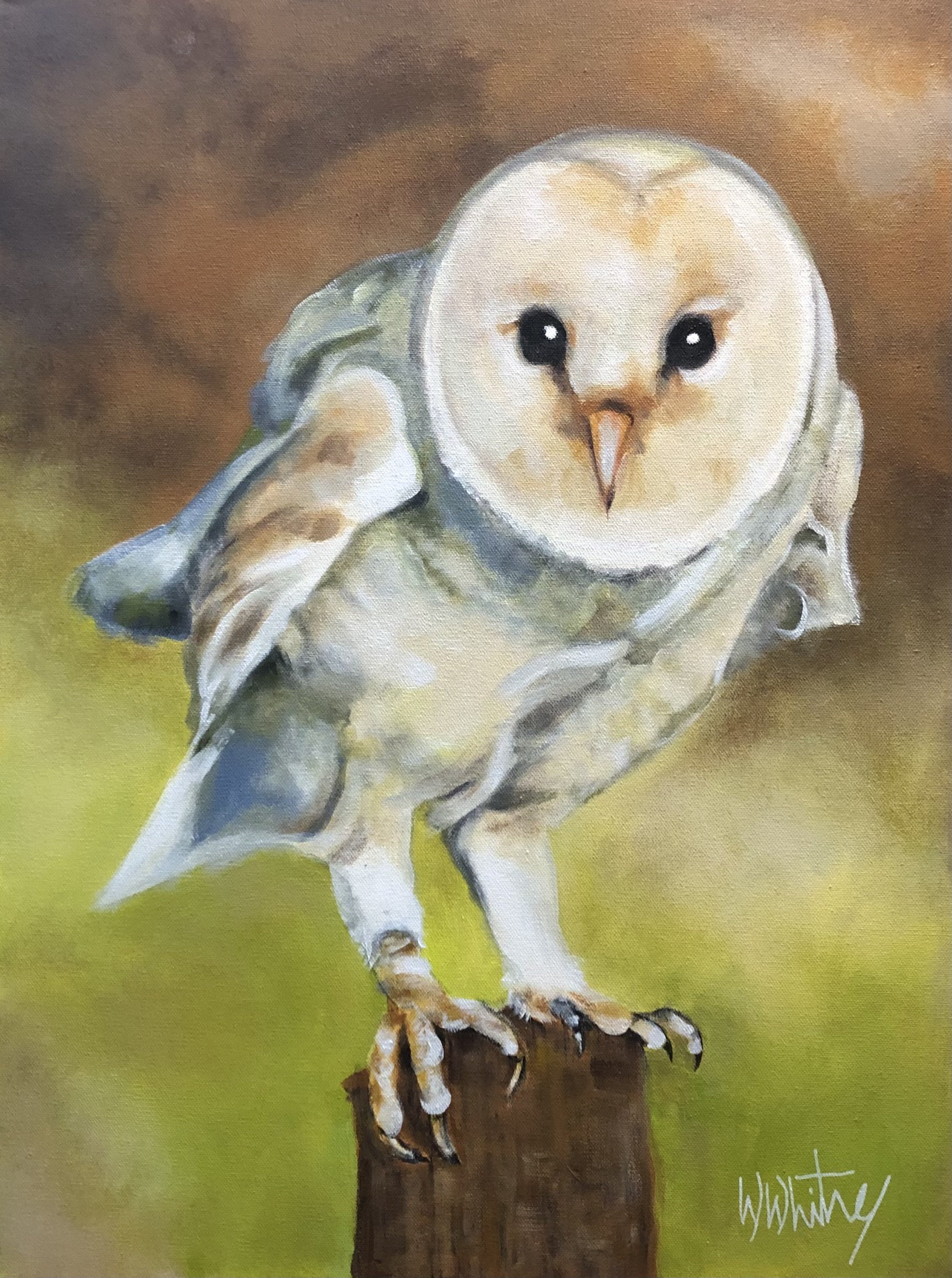 Barn Owl "Banshee" 18"x24"