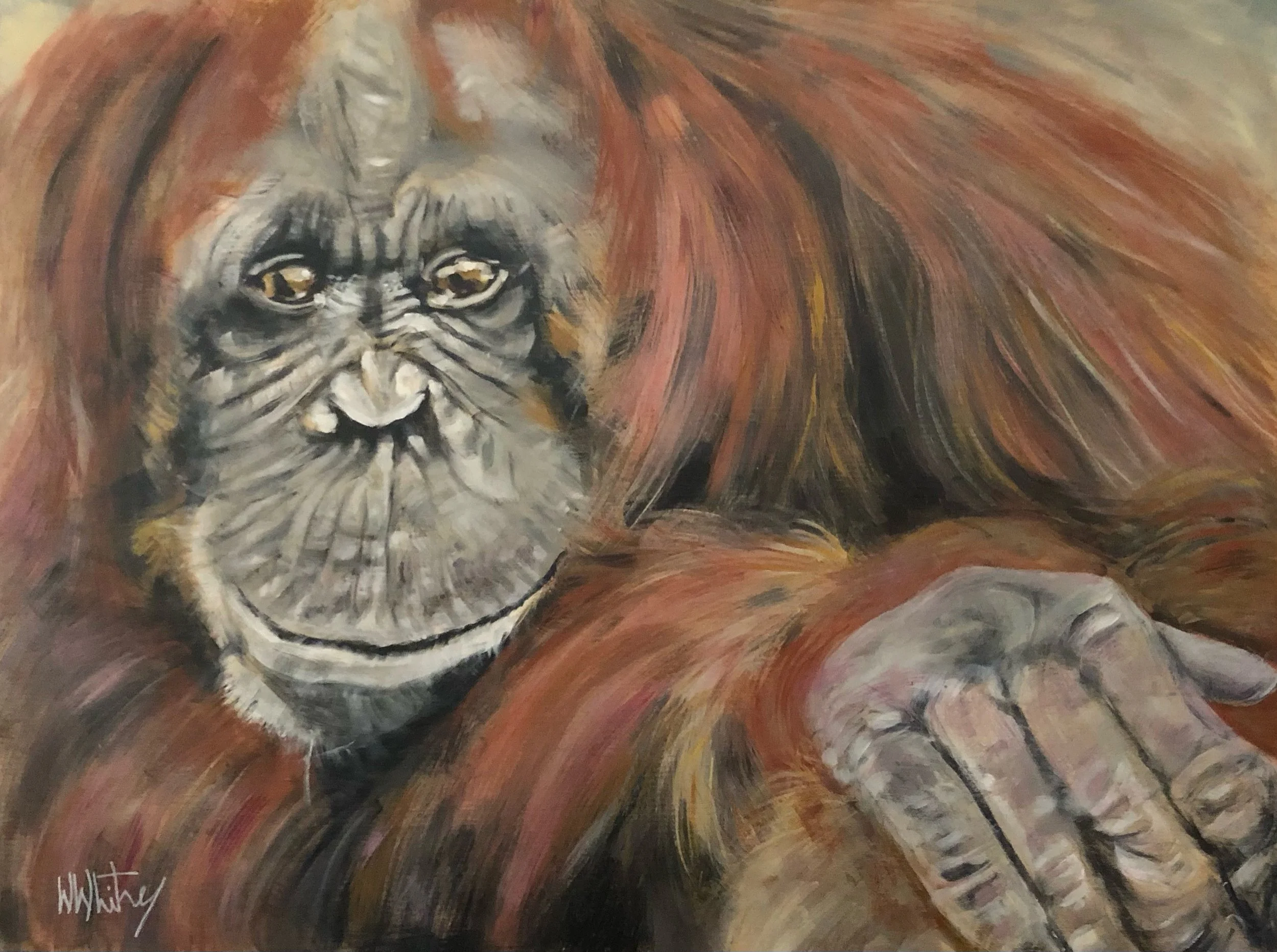 Bornean Orangutan "Sexy Sadie" " 24x18" 