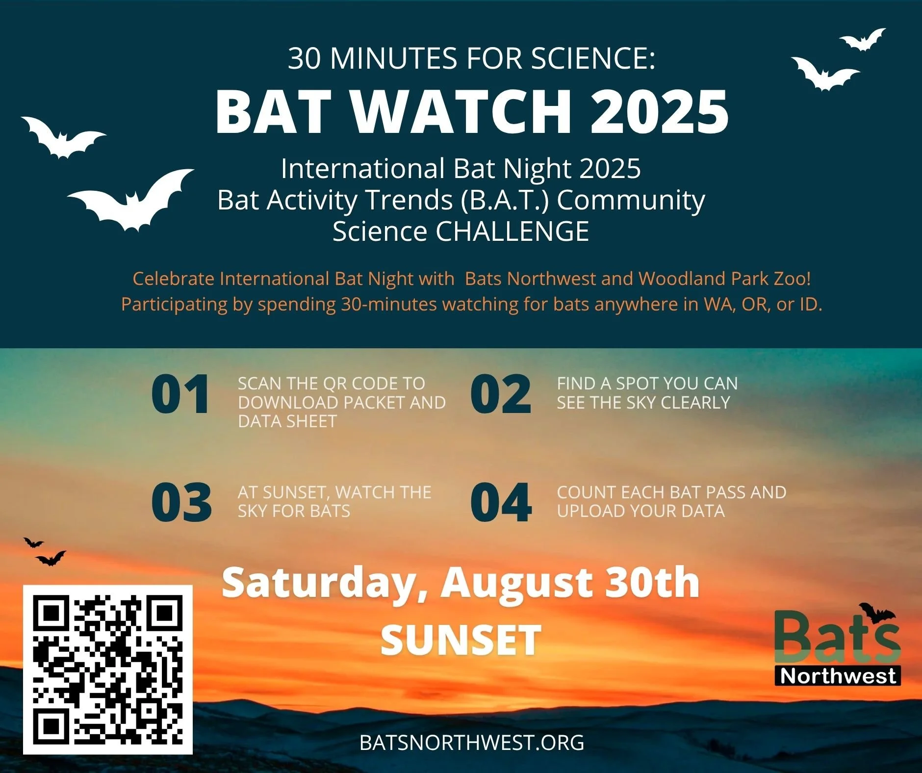 Bat Count 2025: 30-min for science
